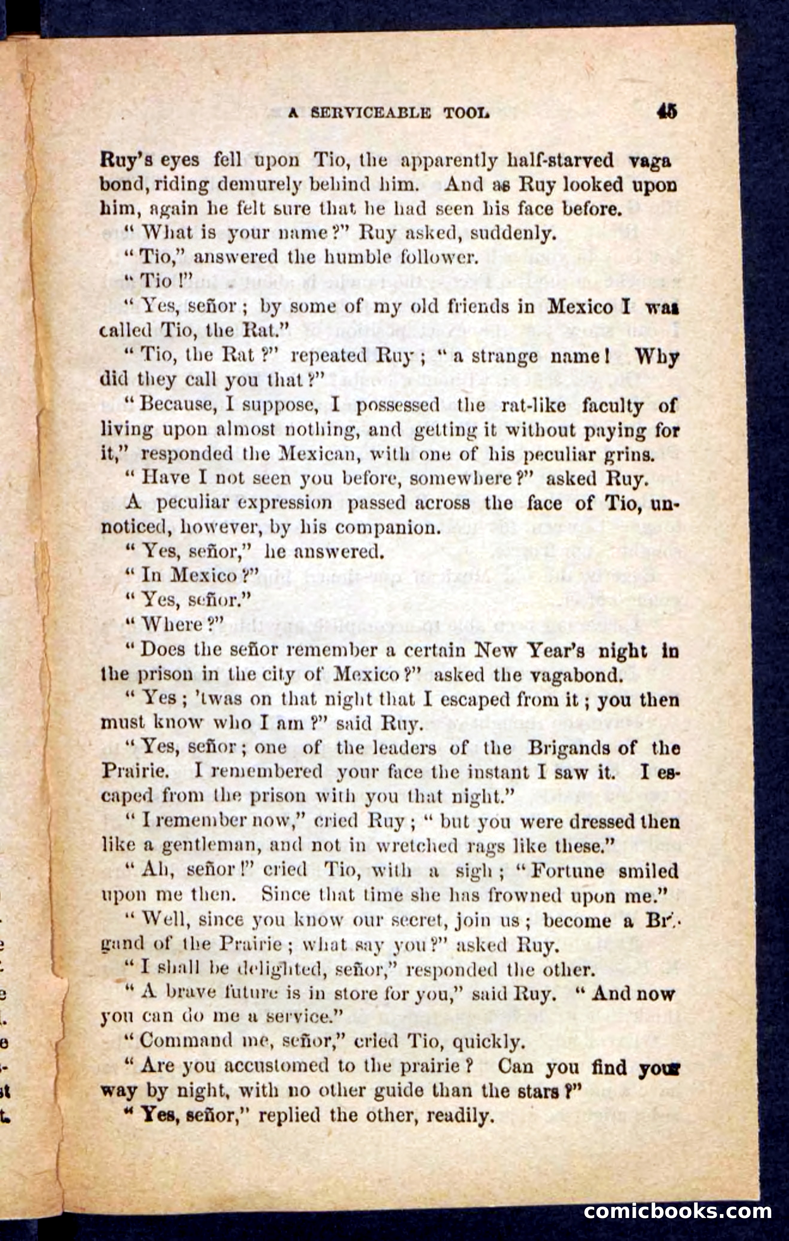 The Brigand Captain — page 41 of 100