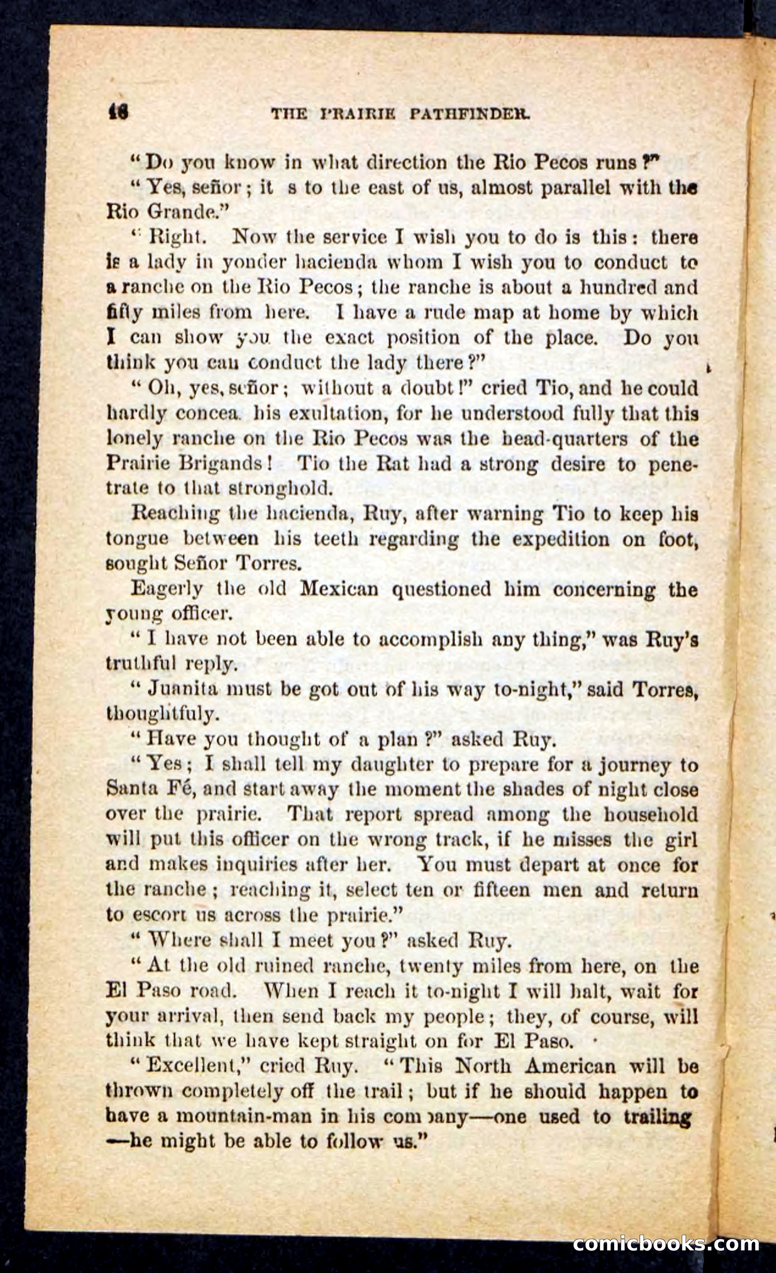 The Brigand Captain — page 42 of 100