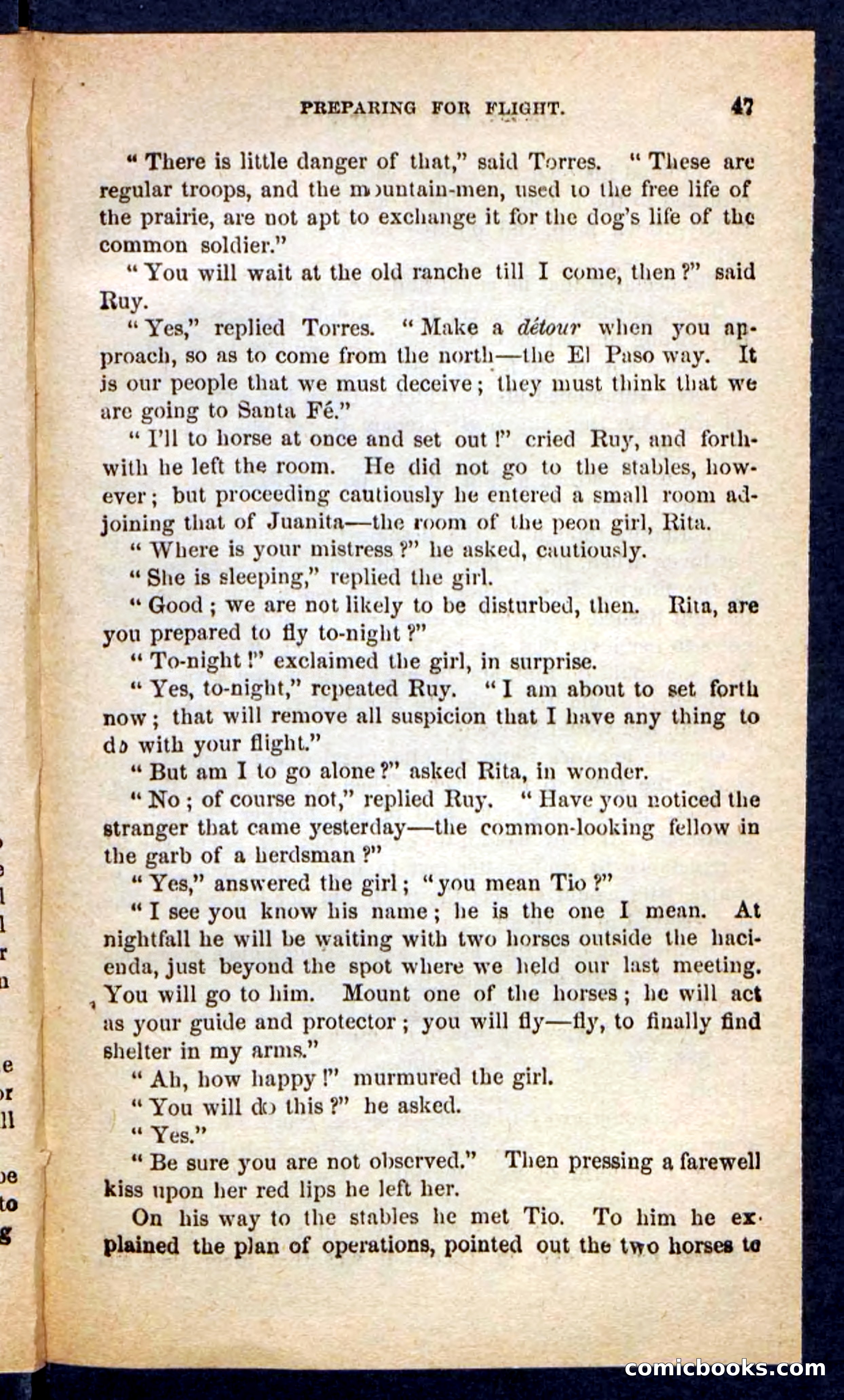 The Brigand Captain — page 43 of 100