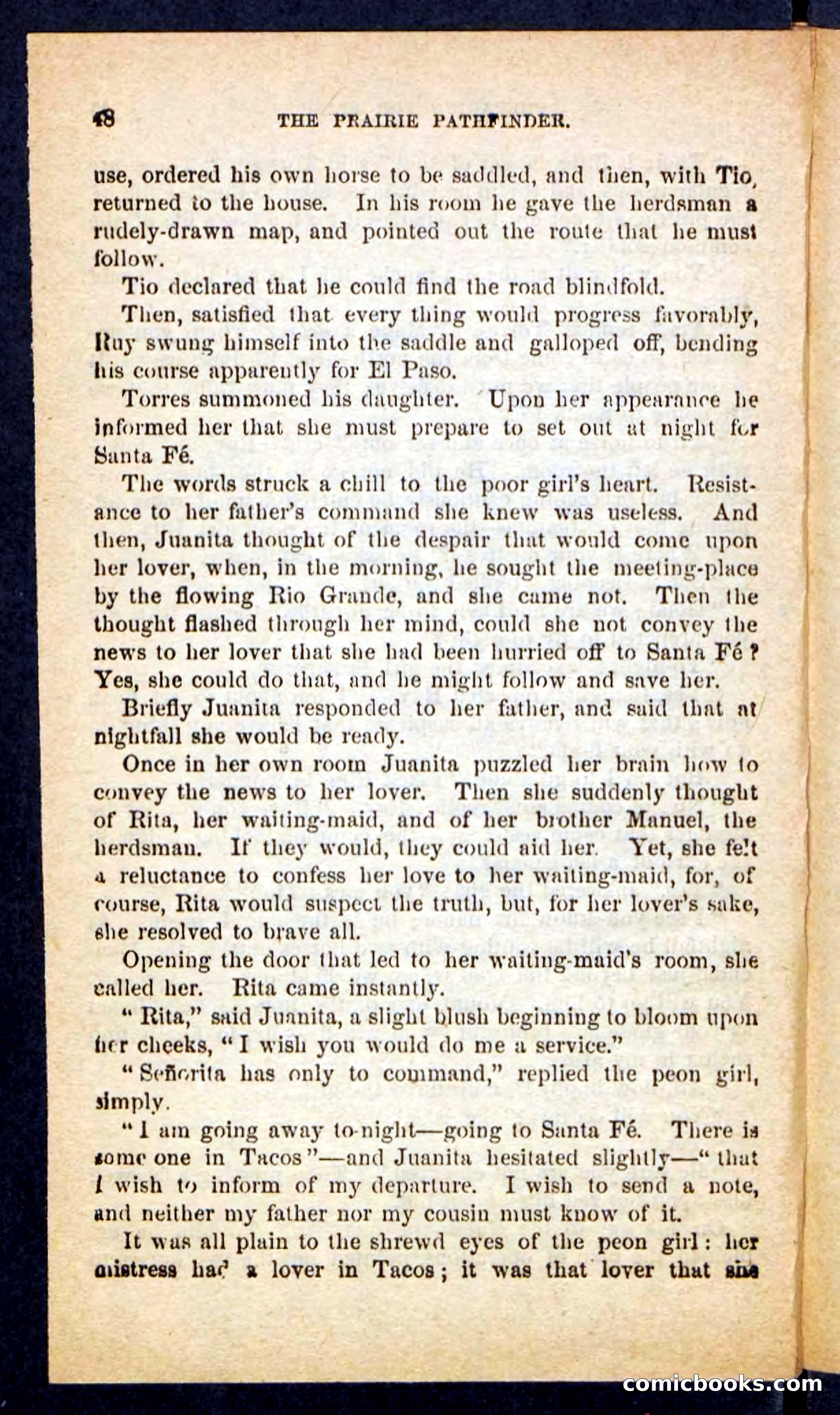 The Brigand Captain — page 44 of 100