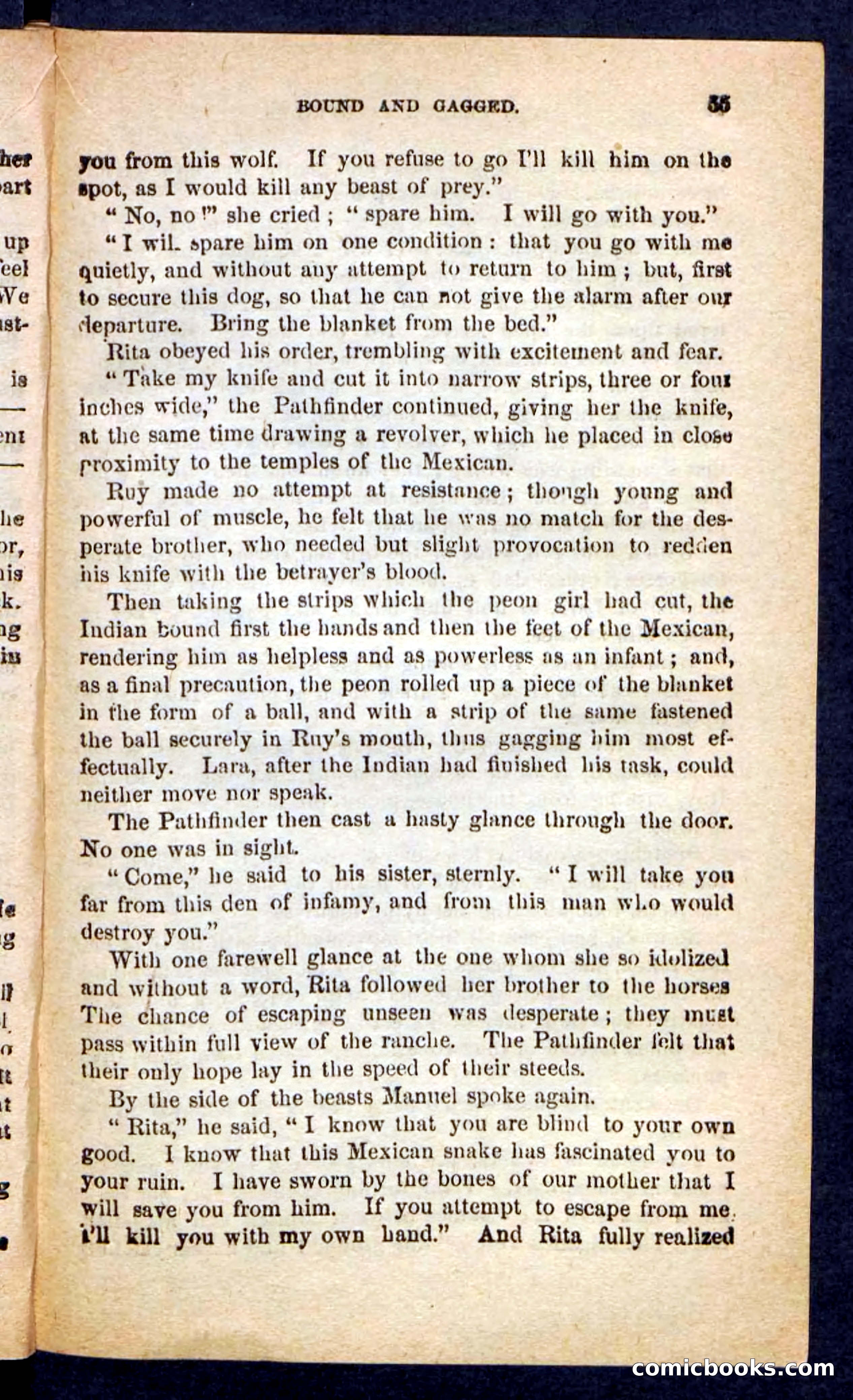 The Brigand Captain — page 51 of 100