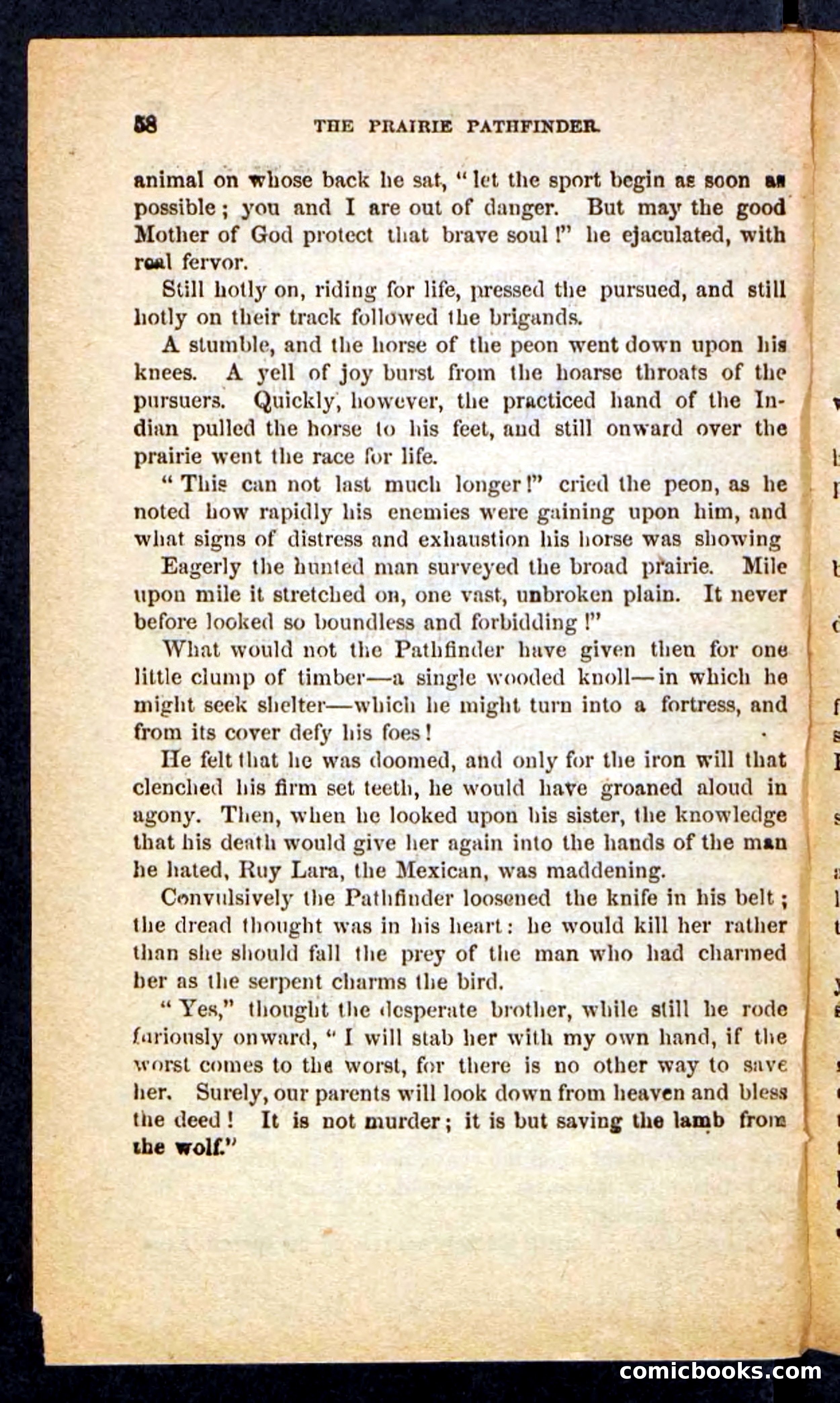 The Brigand Captain — page 54 of 100