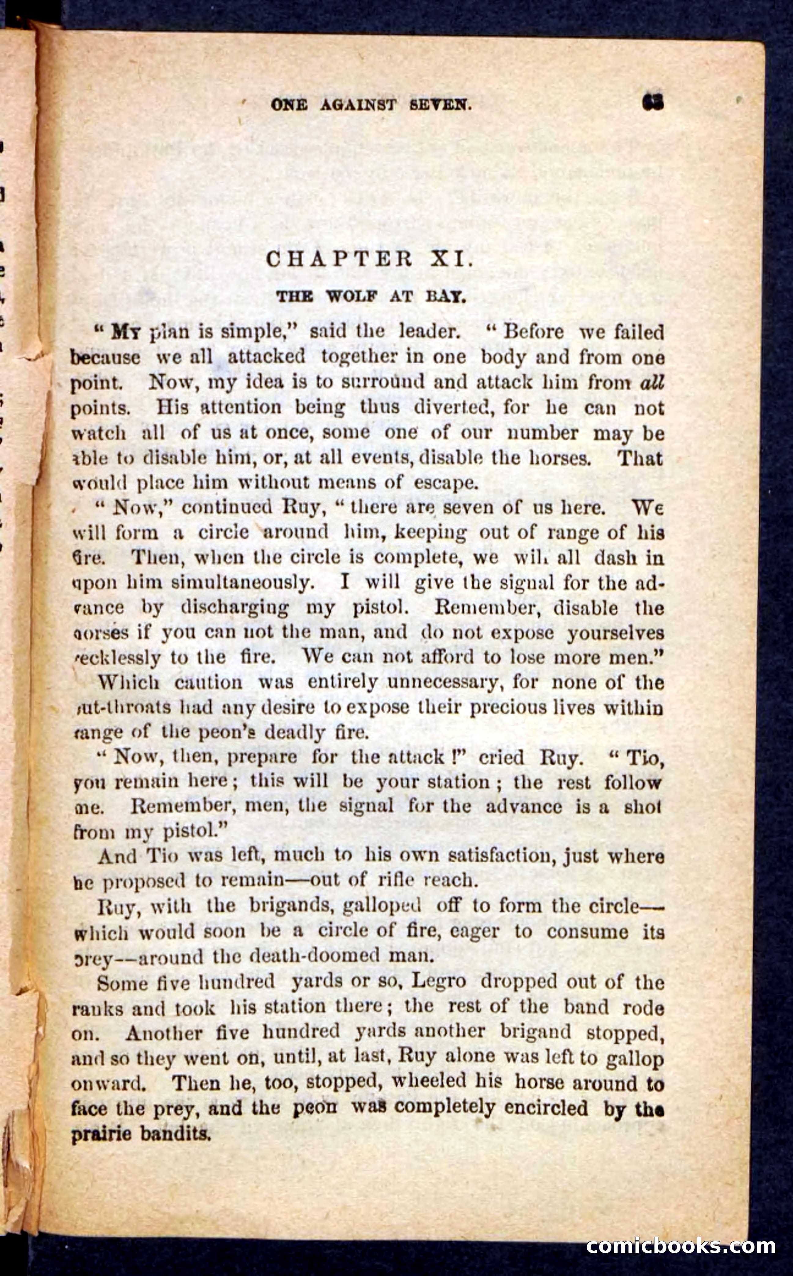The Brigand Captain — page 59 of 100