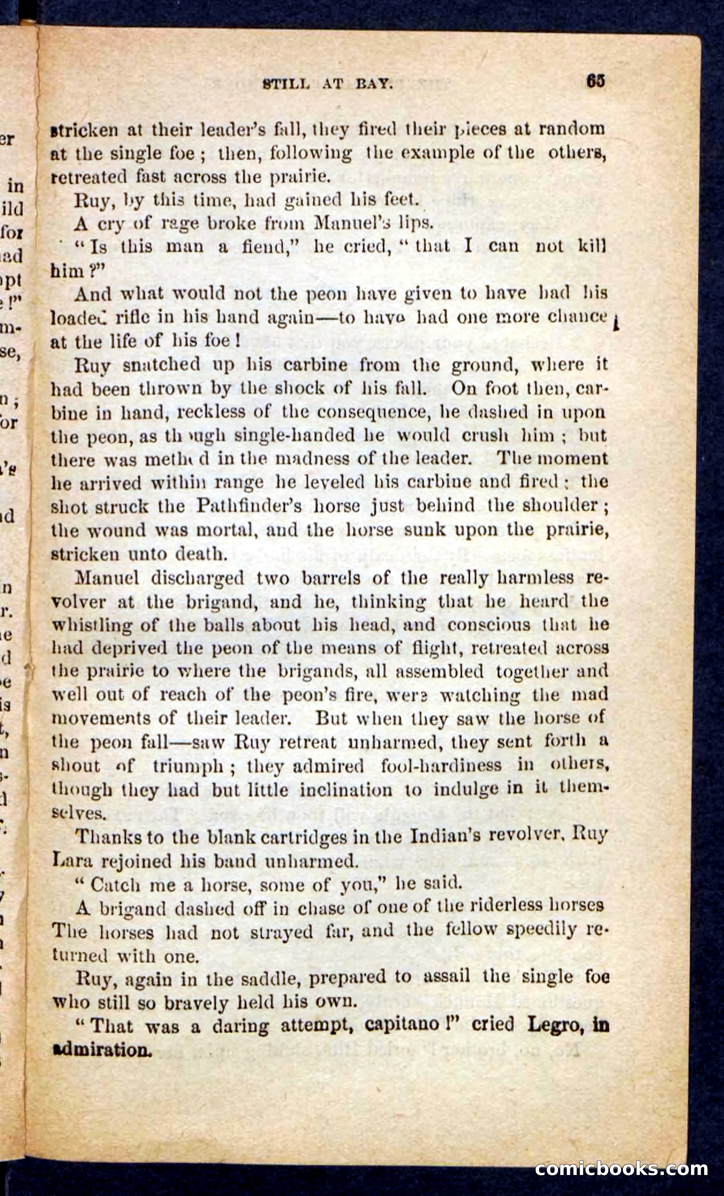 The Brigand Captain — page 61 of 100