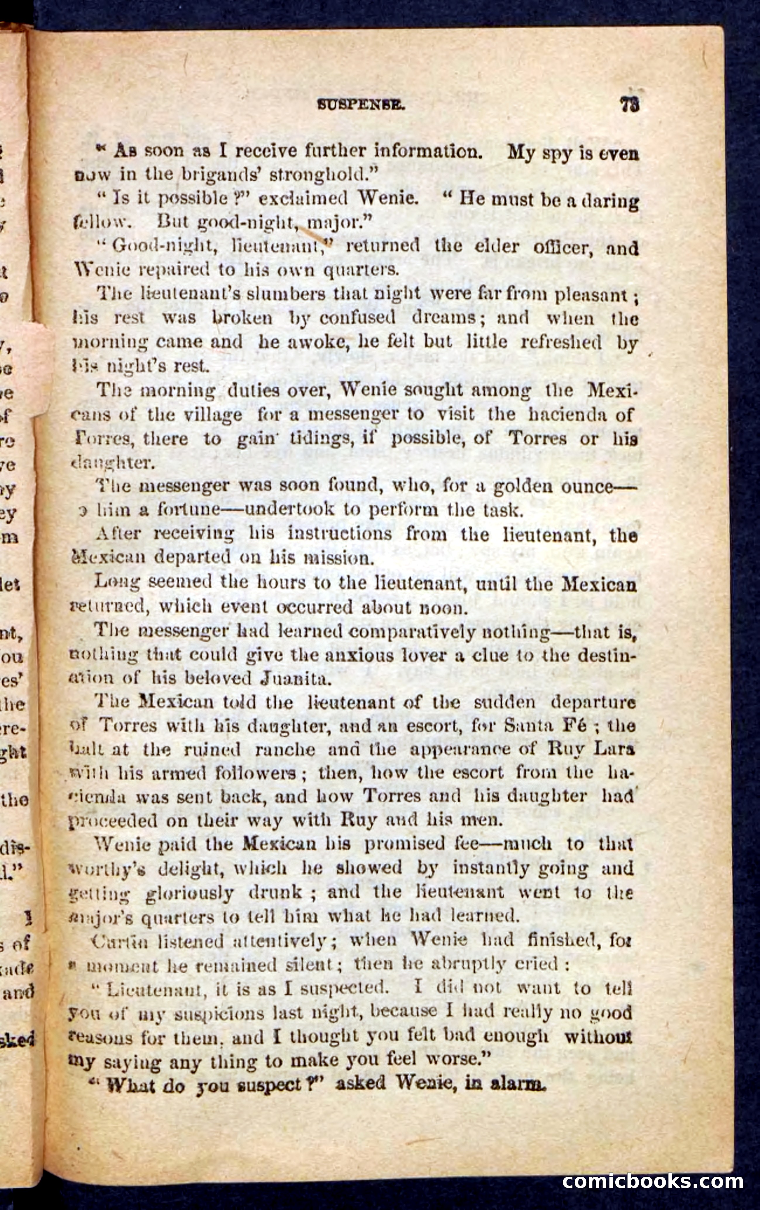The Brigand Captain — page 69 of 100