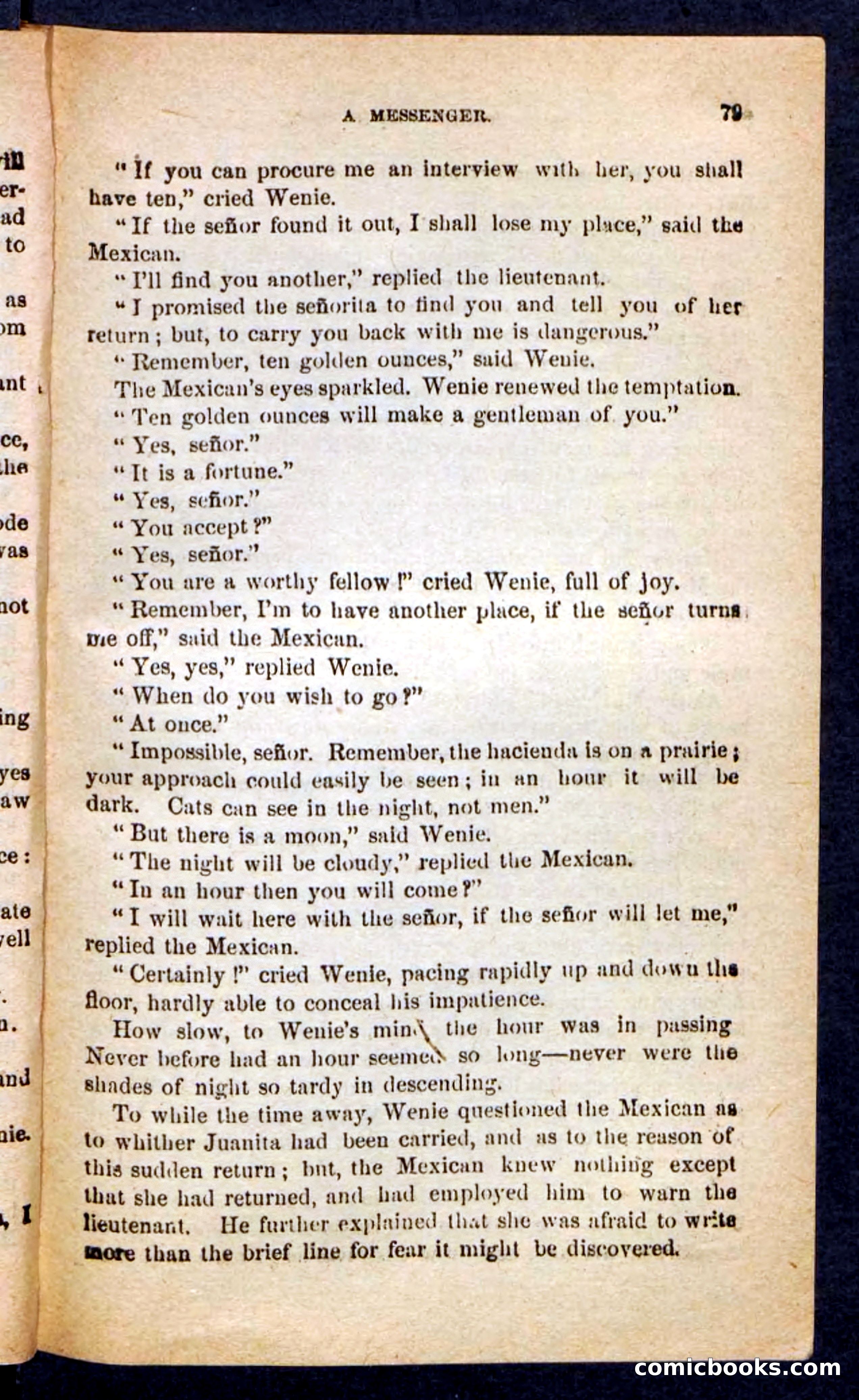 The Brigand Captain — page 75 of 100