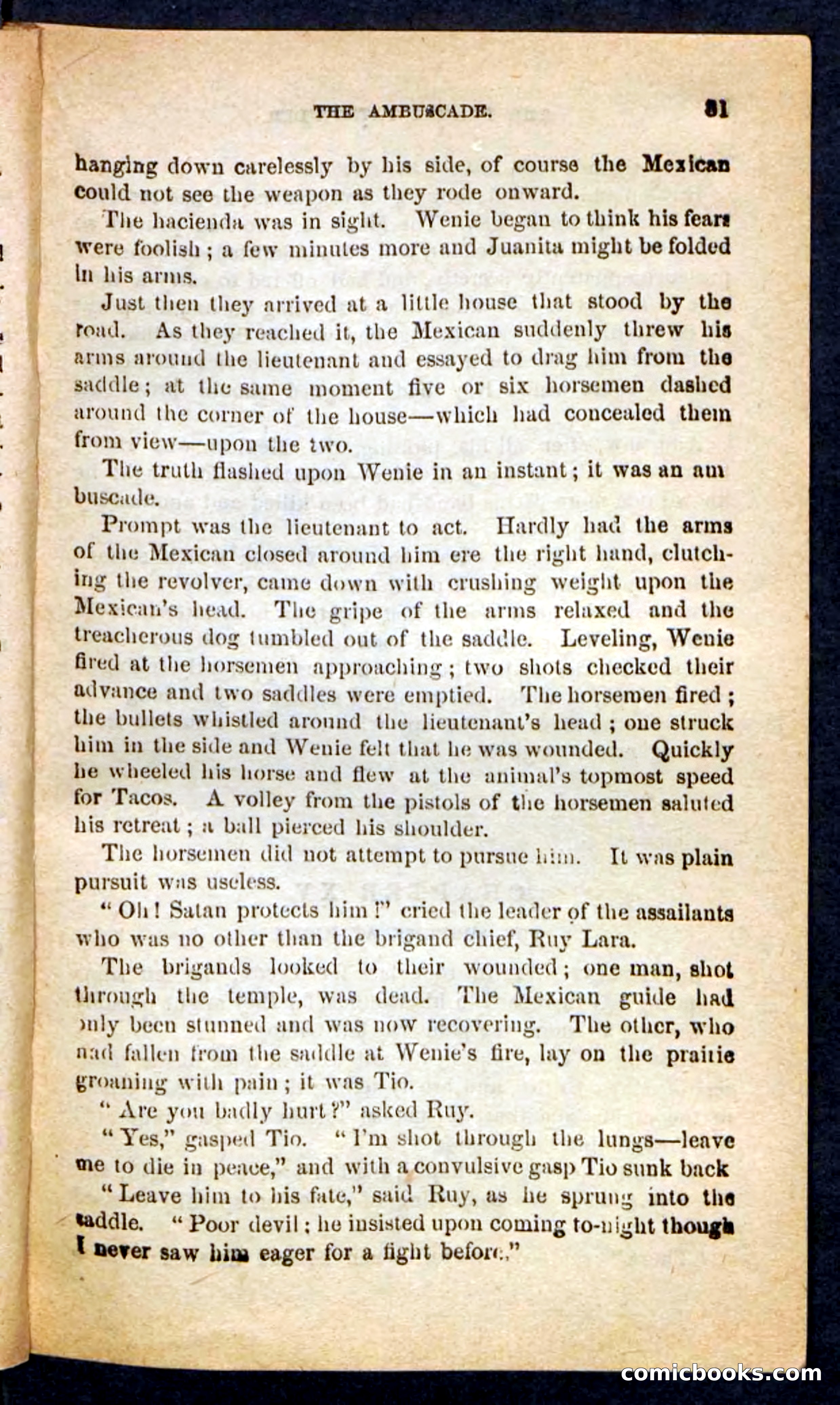 The Brigand Captain — page 77 of 100