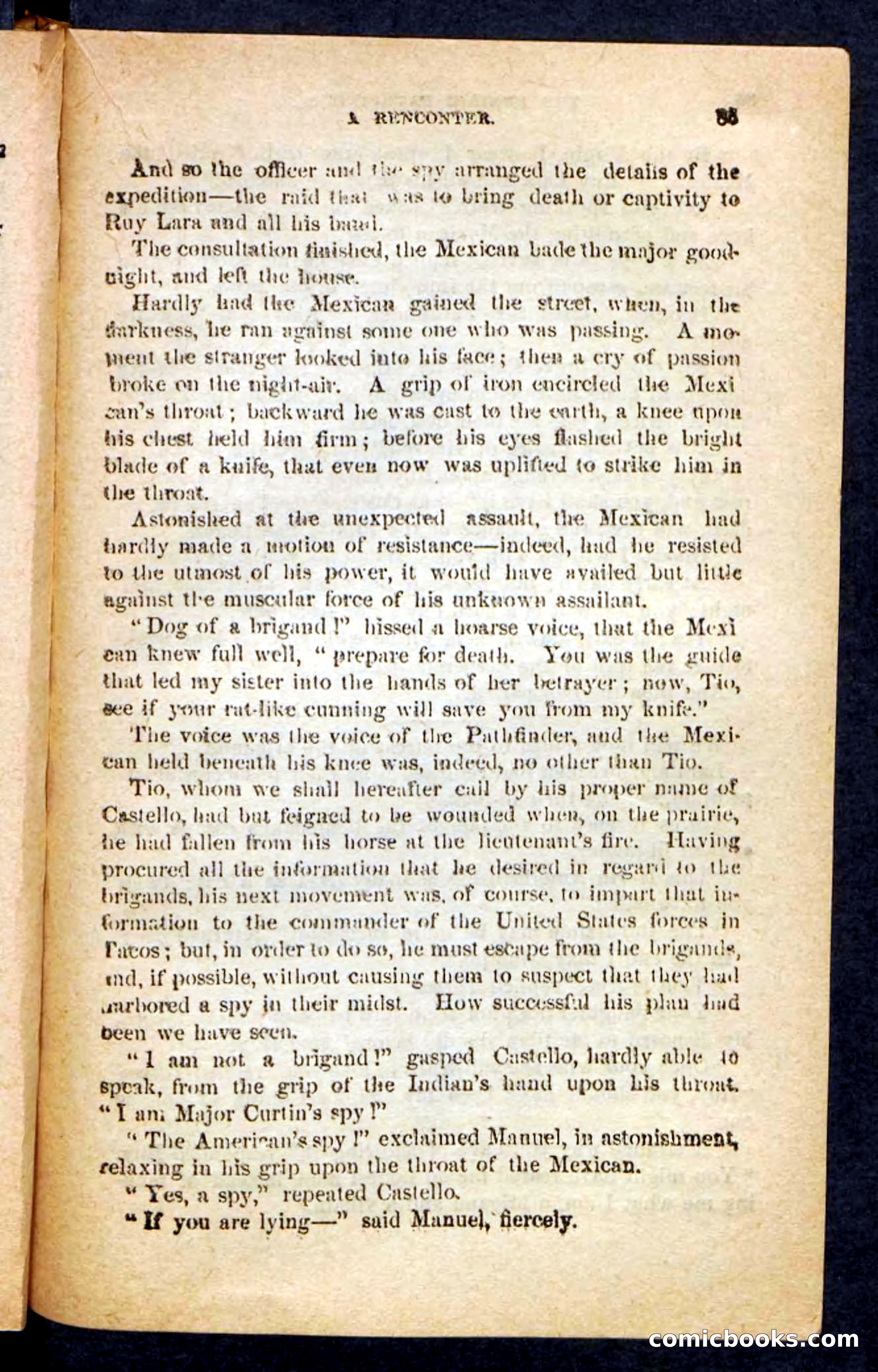 The Brigand Captain — page 81 of 100