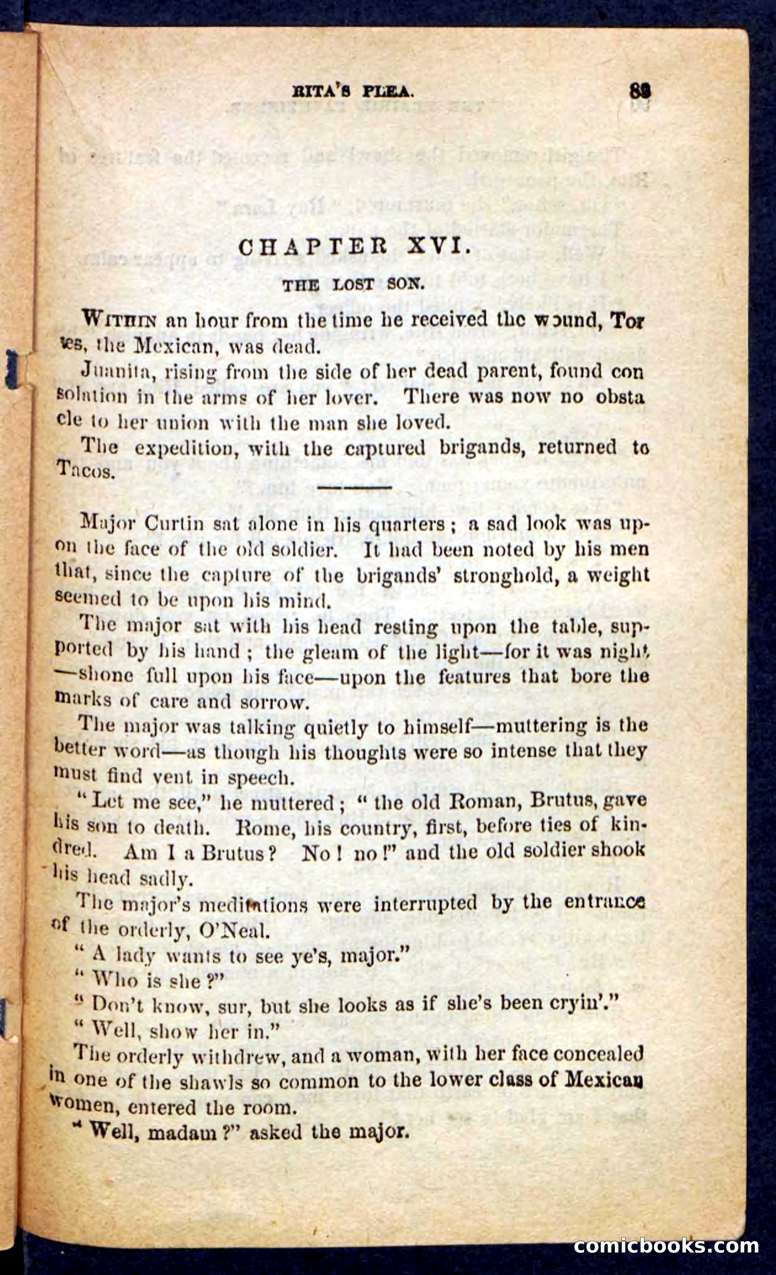 The Brigand Captain — page 85 of 100