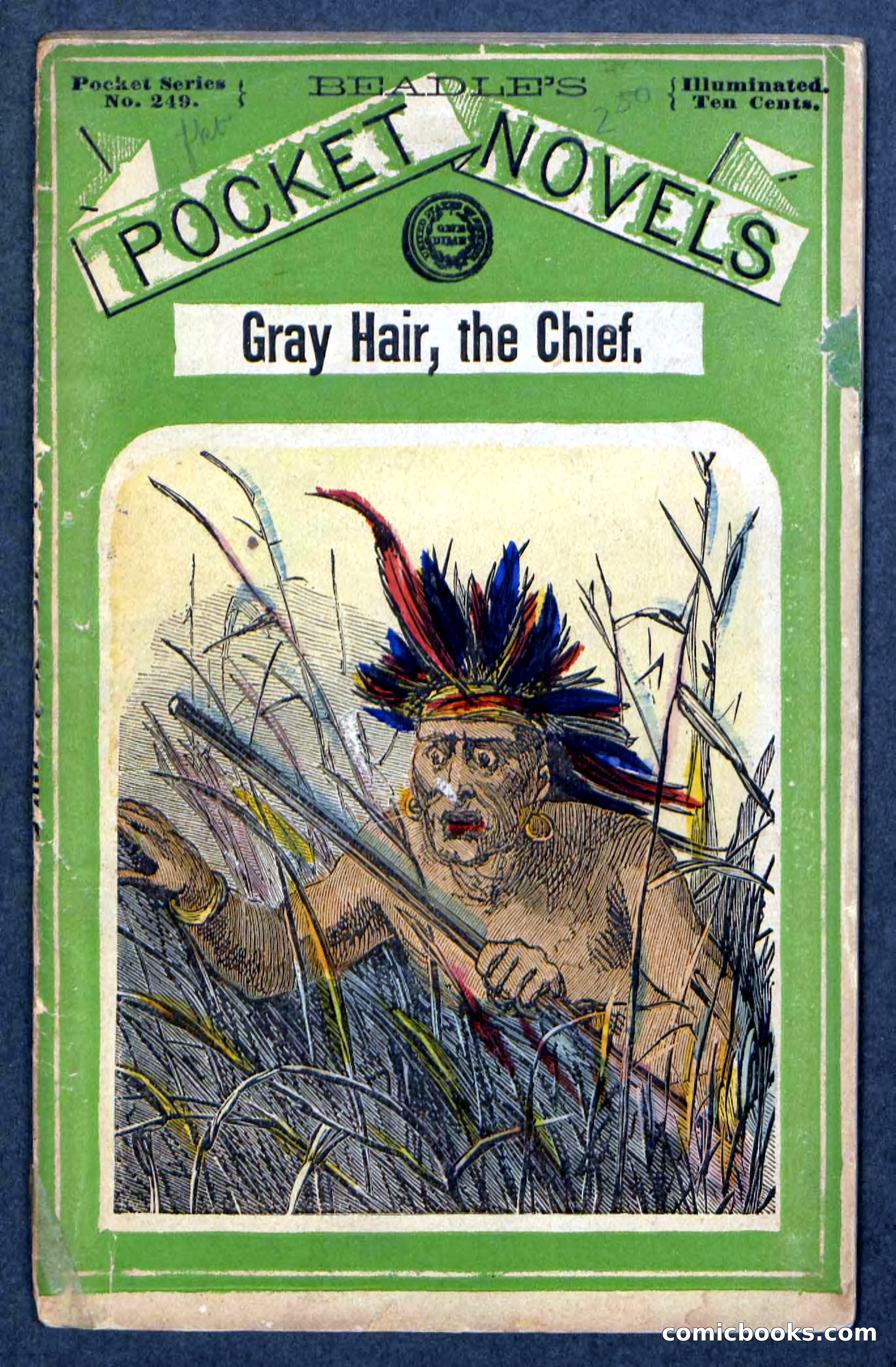 Beadle's Pocket Novels No. 249: Gray Hair, the Chief