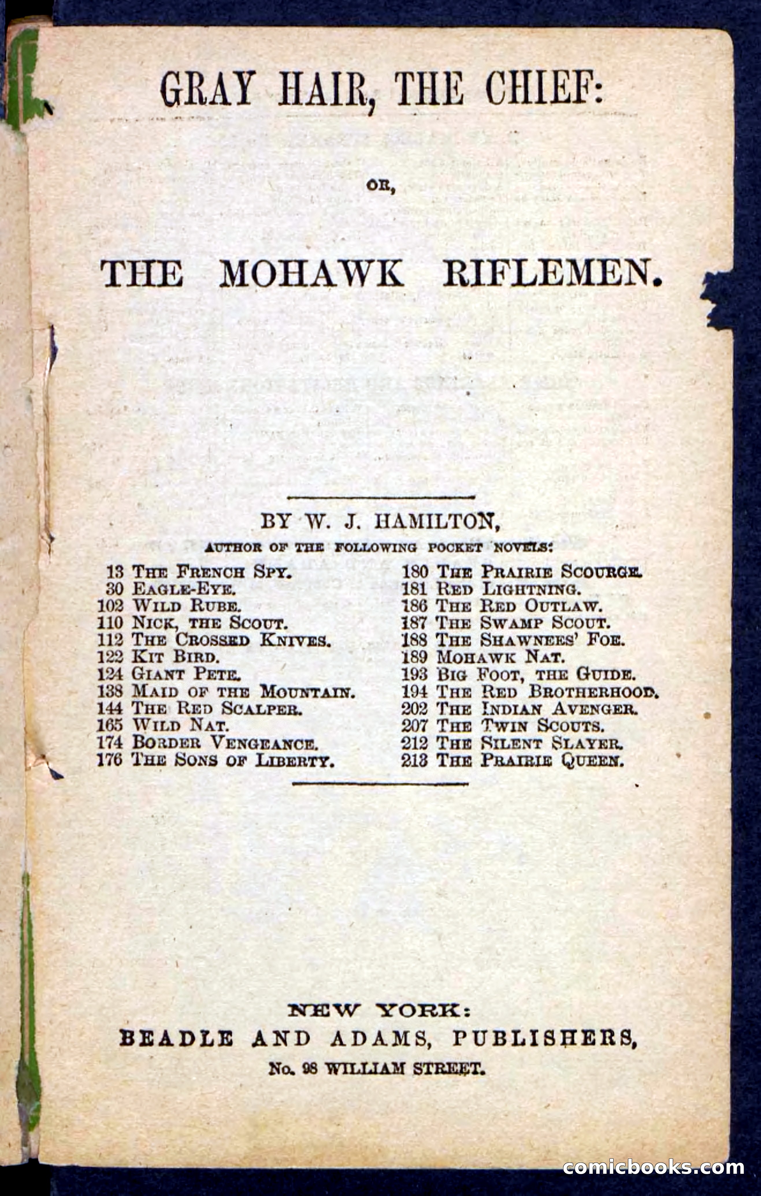 Beadle's Pocket Novels No. 249: Gray Hair, the Chief — page 3 of 100