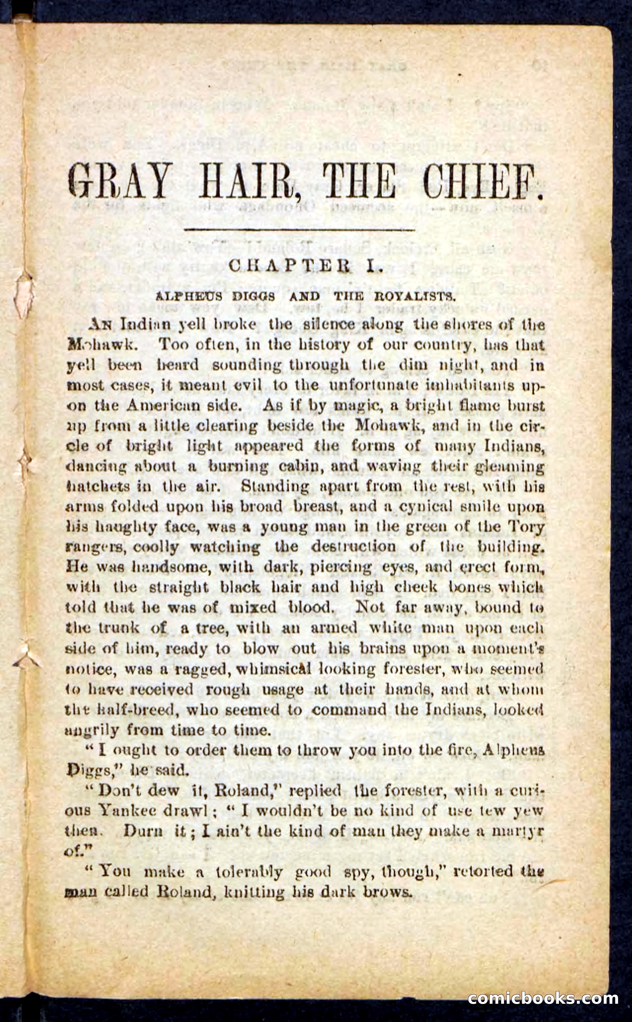 Beadle's Pocket Novels No. 249: Gray Hair, the Chief — page 5 of 100