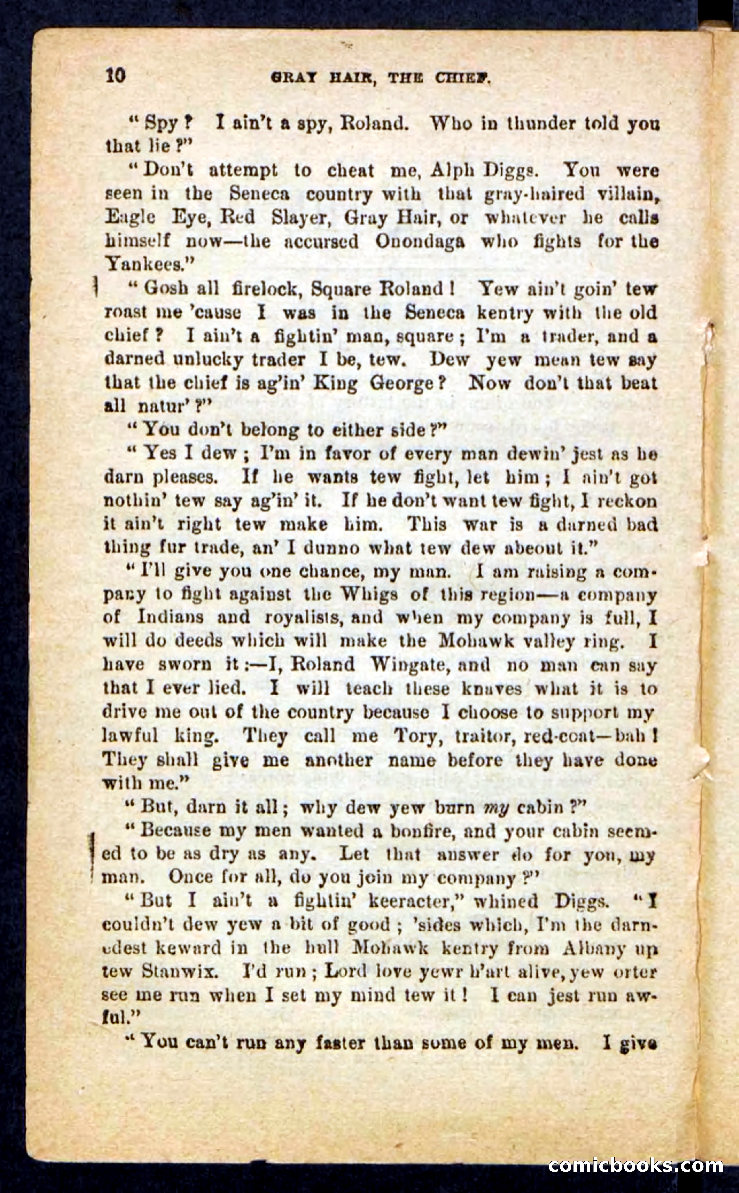 Beadle's Pocket Novels No. 249: Gray Hair, the Chief — page 6 of 100