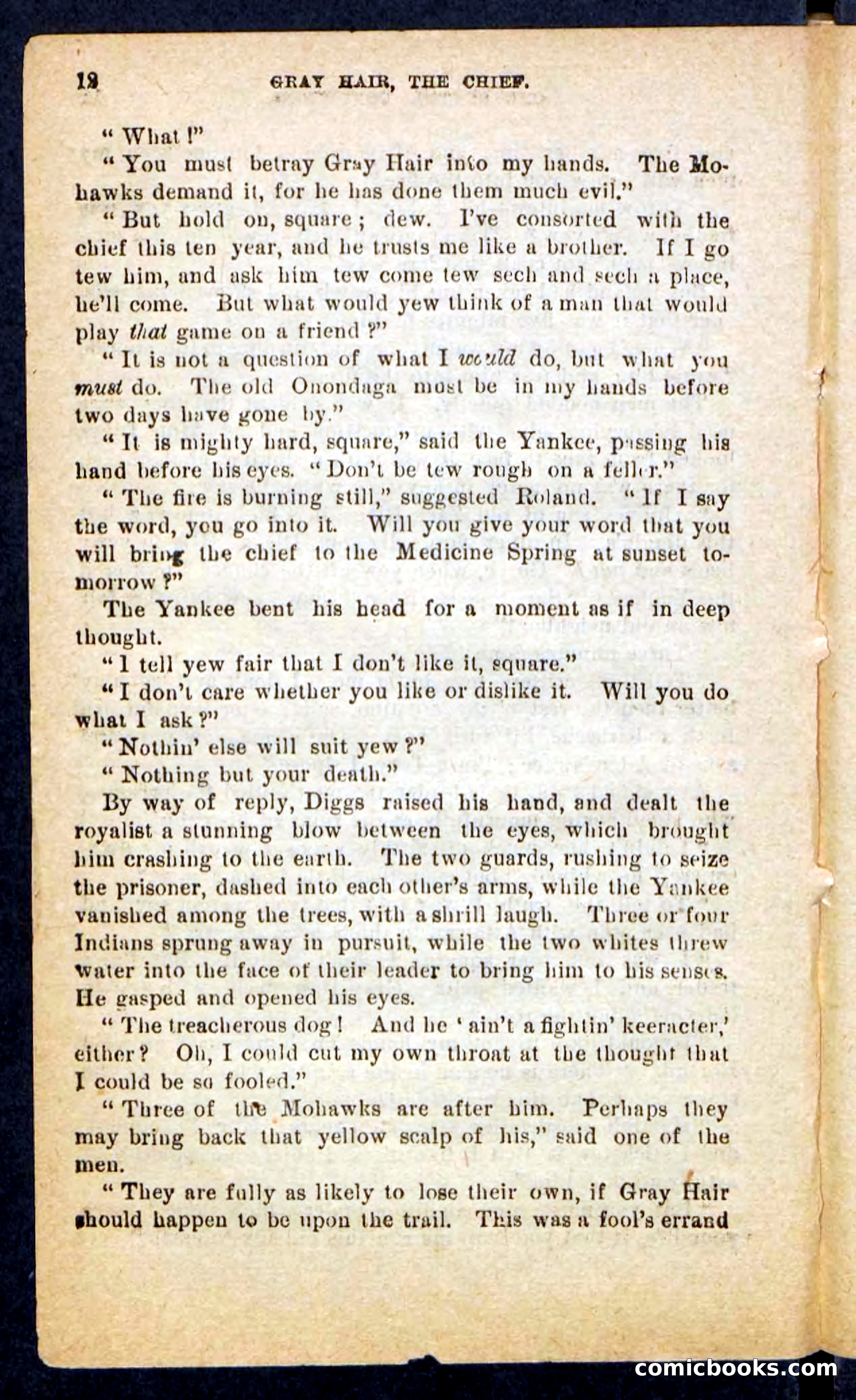 Beadle's Pocket Novels No. 249: Gray Hair, the Chief — page 8 of 100