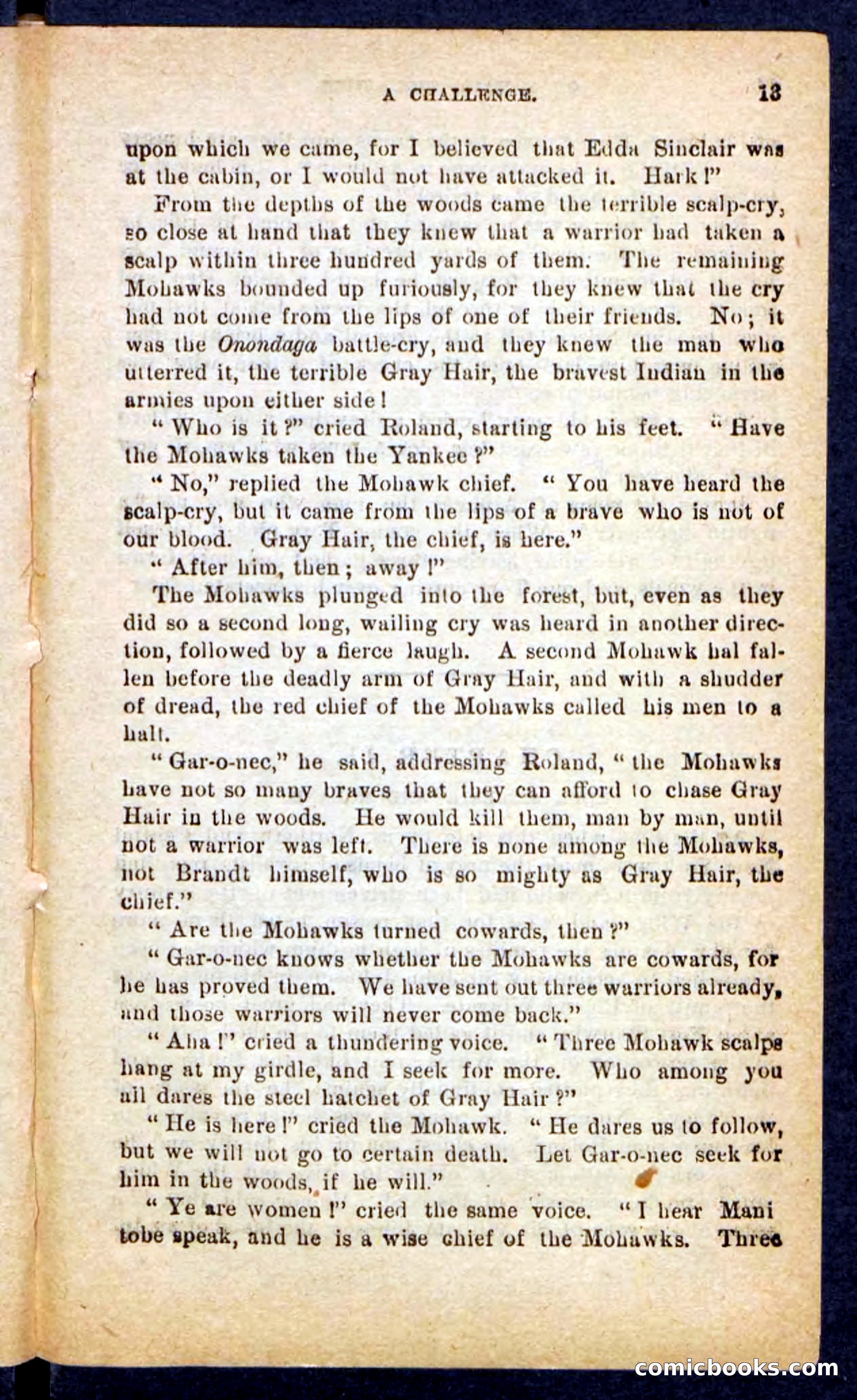 Beadle's Pocket Novels No. 249: Gray Hair, the Chief — page 9 of 100