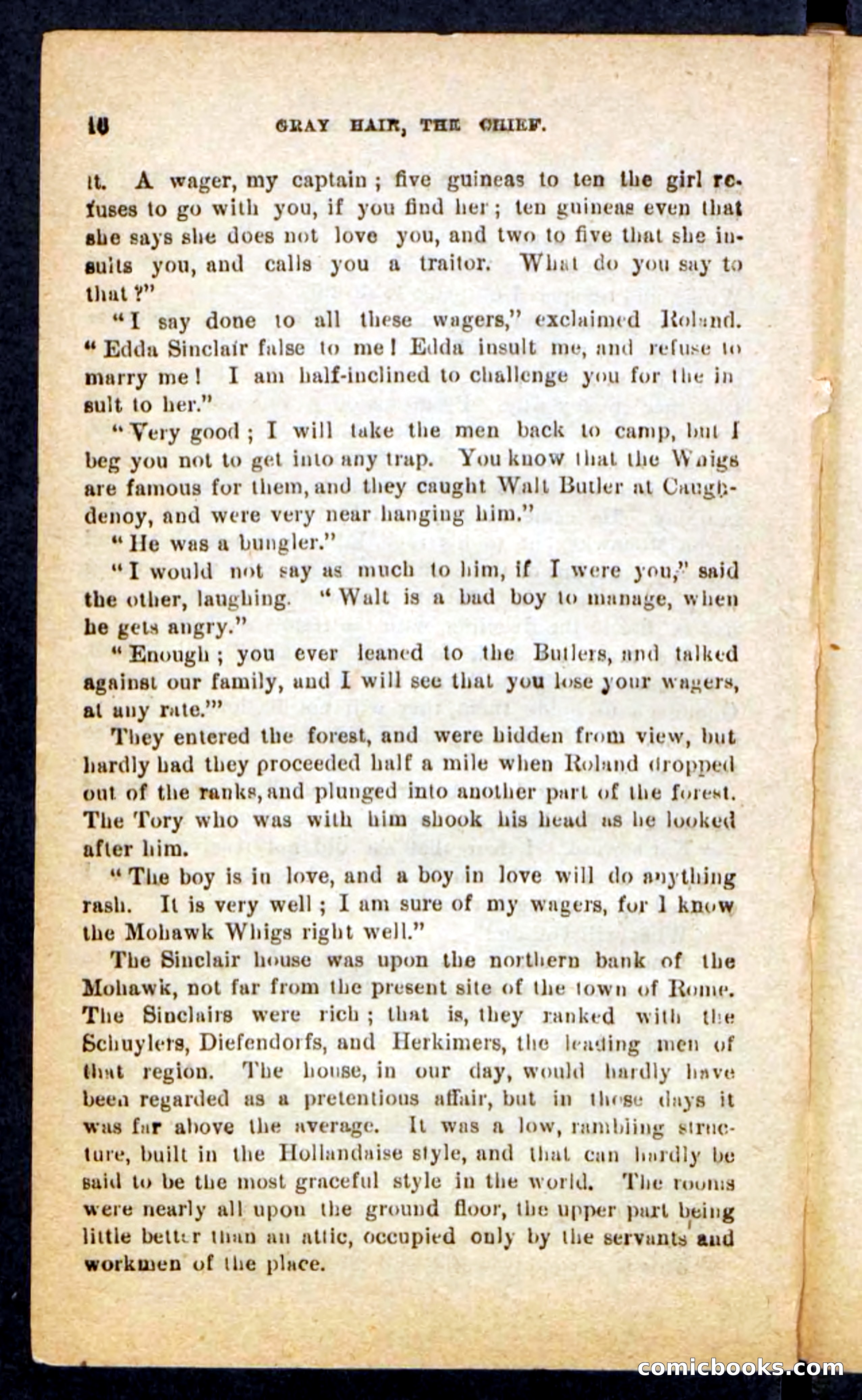 Beadle's Pocket Novels No. 249: Gray Hair, the Chief — page 12 of 100