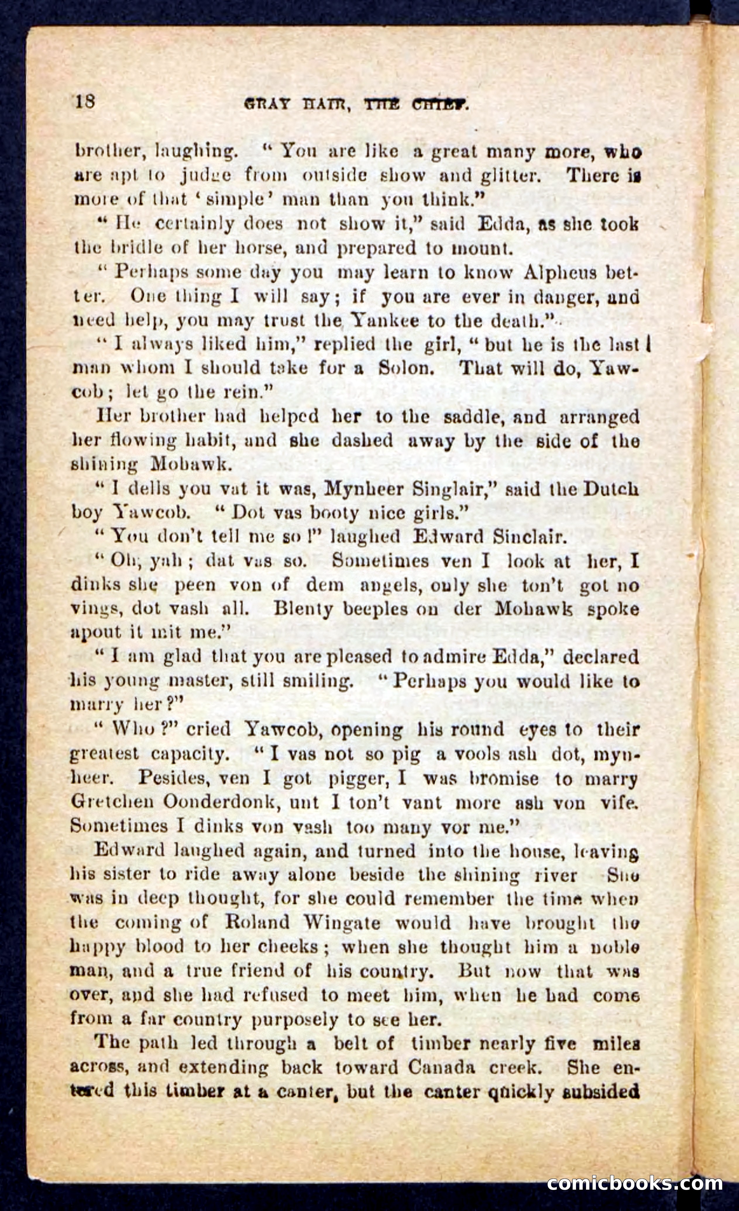 Beadle's Pocket Novels No. 249: Gray Hair, the Chief — page 14 of 100