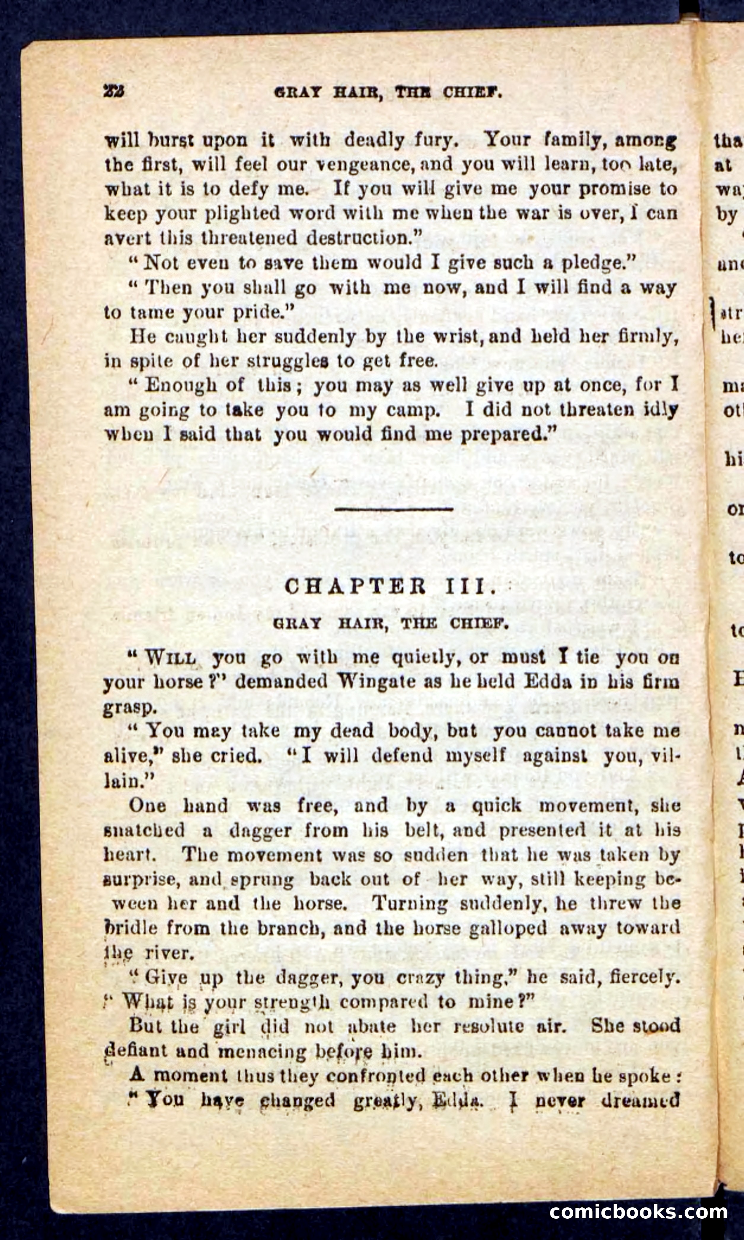 Beadle's Pocket Novels No. 249: Gray Hair, the Chief — page 18 of 100