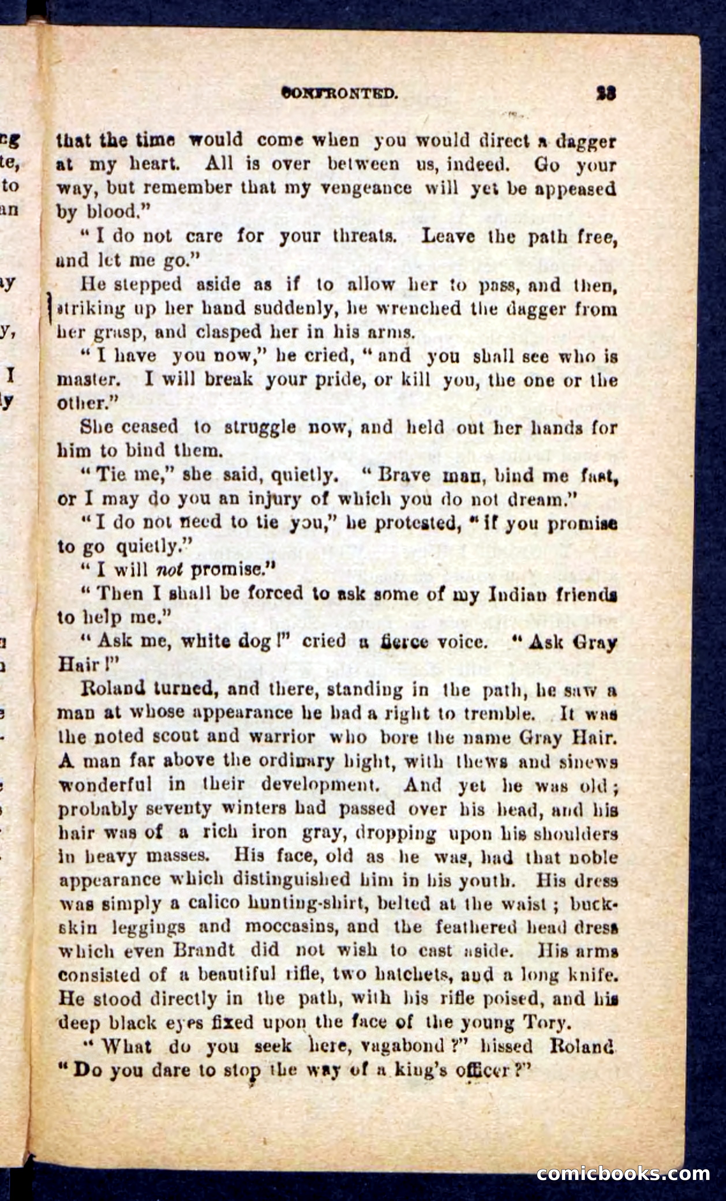 Beadle's Pocket Novels No. 249: Gray Hair, the Chief — page 19 of 100