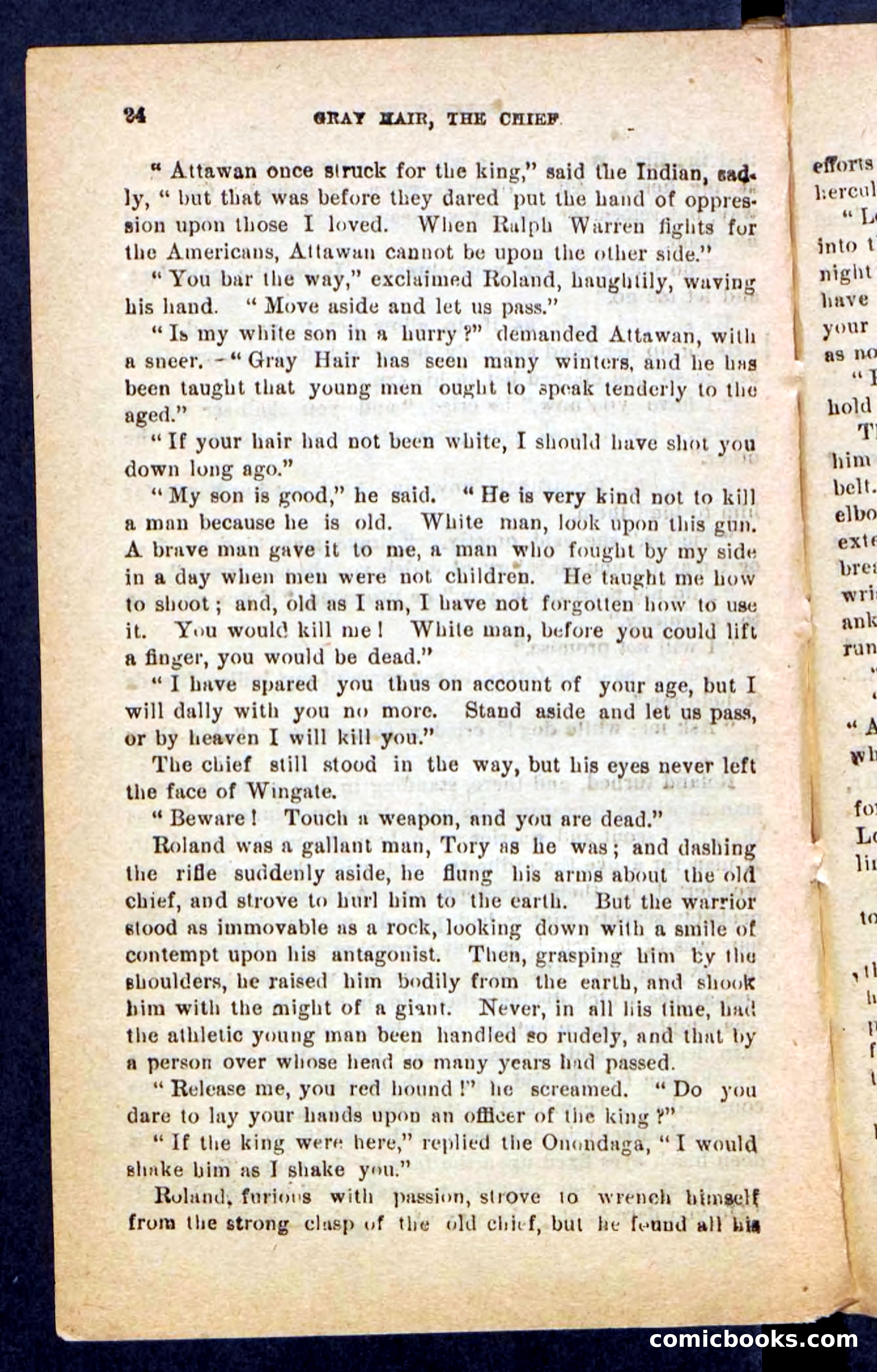 Beadle's Pocket Novels No. 249: Gray Hair, the Chief — page 20 of 100