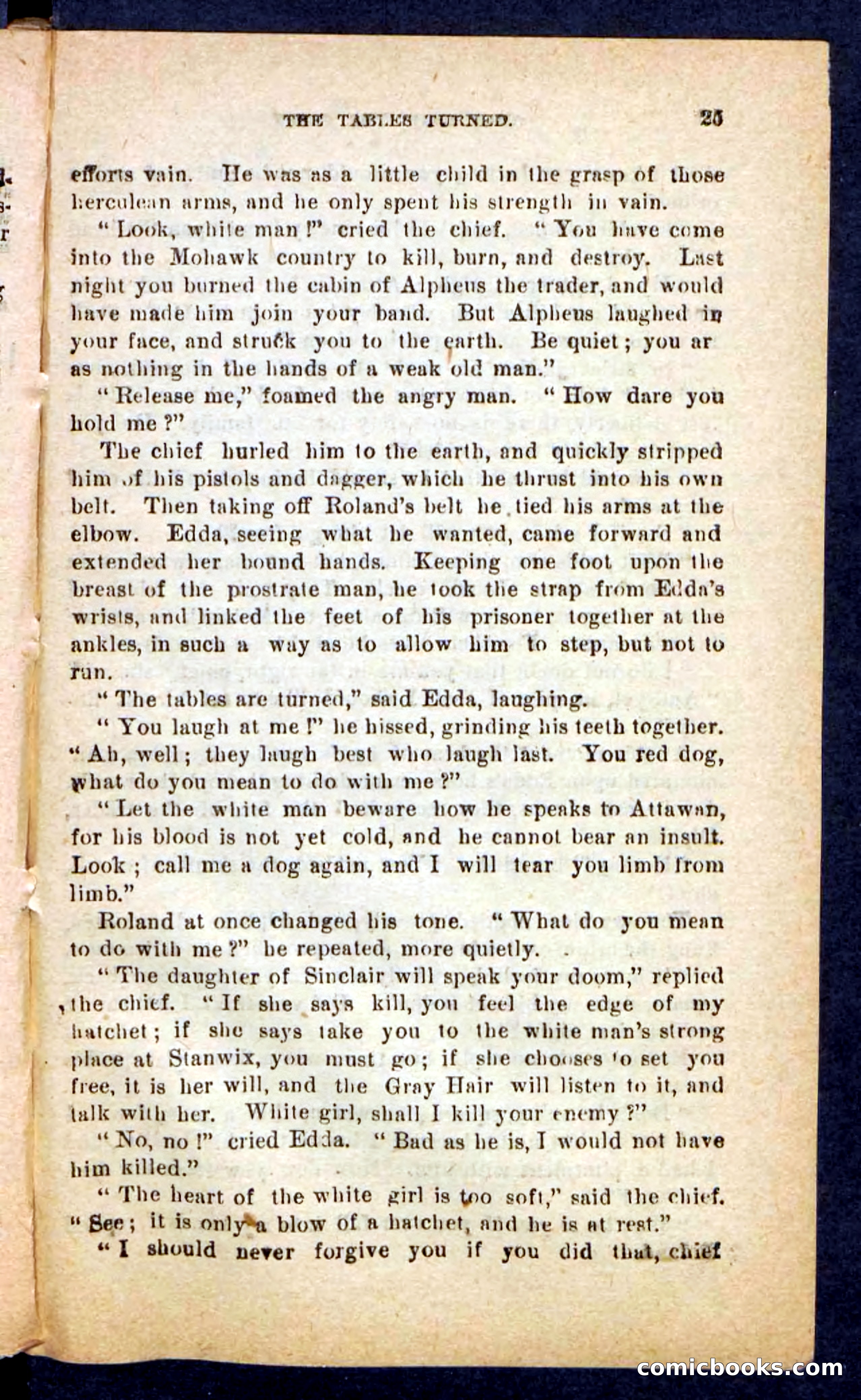 Beadle's Pocket Novels No. 249: Gray Hair, the Chief — page 21 of 100