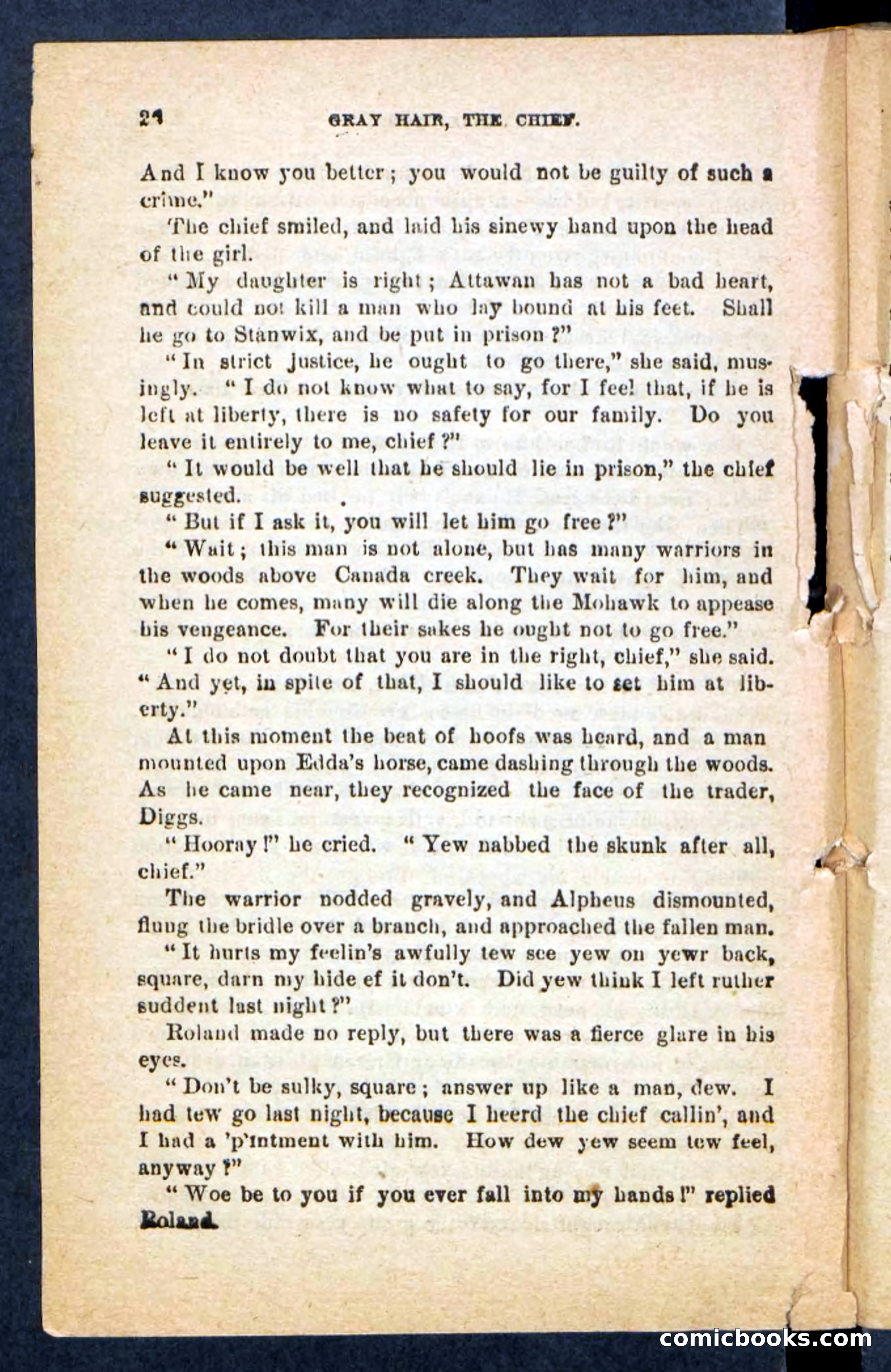 Beadle's Pocket Novels No. 249: Gray Hair, the Chief — page 22 of 100