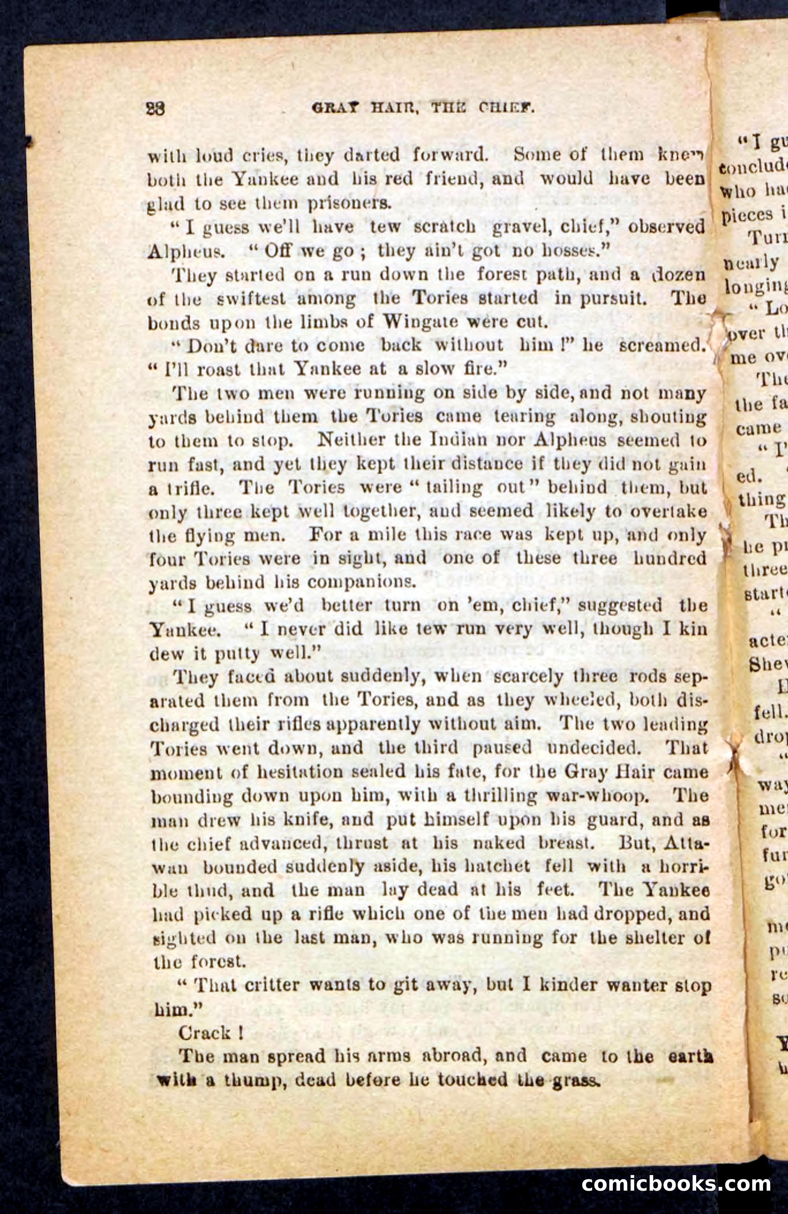 Beadle's Pocket Novels No. 249: Gray Hair, the Chief — page 24 of 100