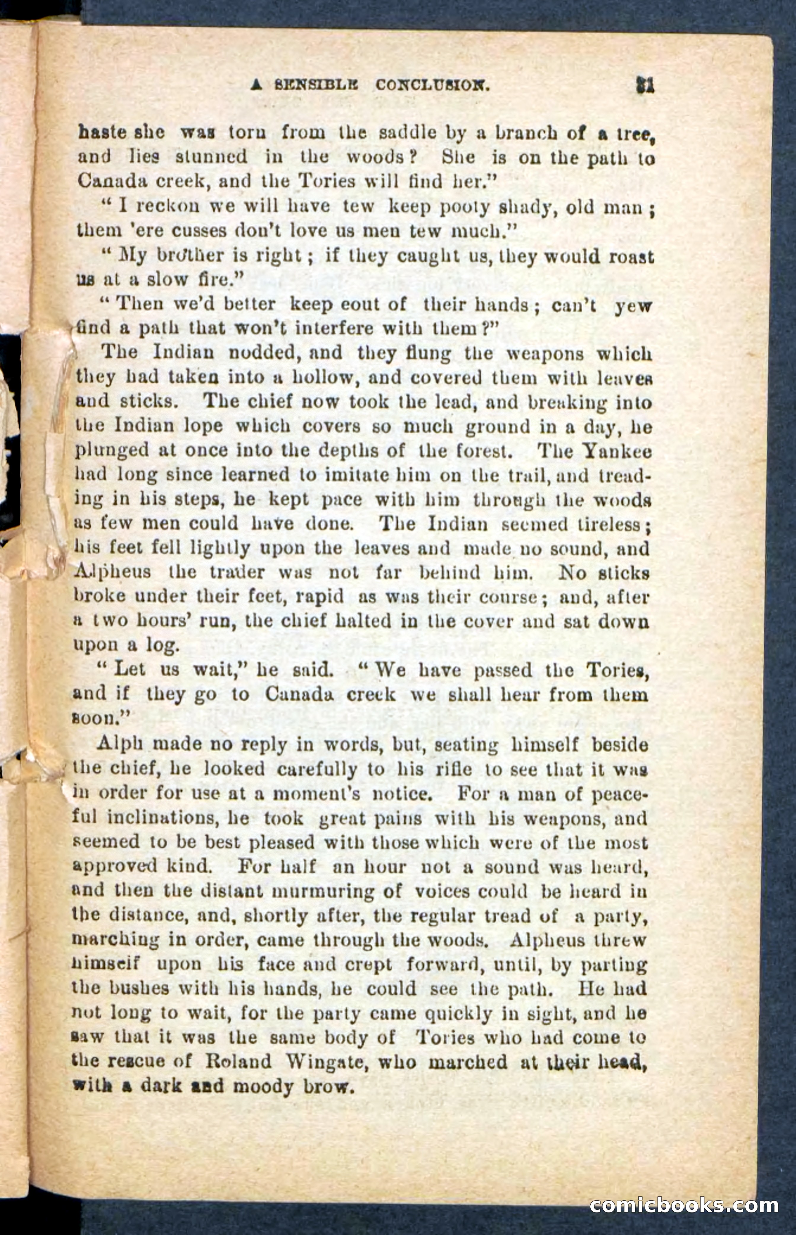 Beadle's Pocket Novels No. 249: Gray Hair, the Chief — page 27 of 100