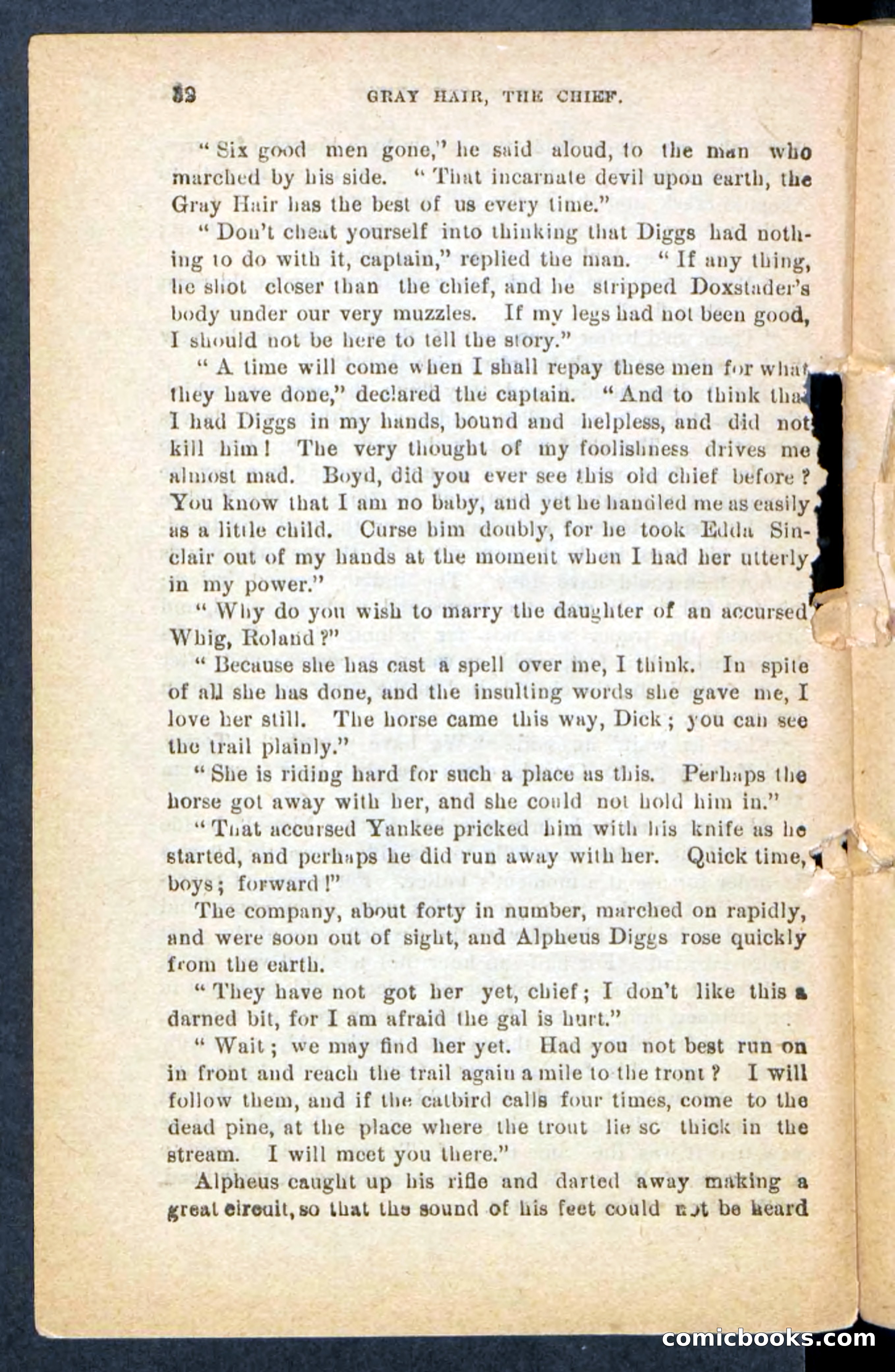 Beadle's Pocket Novels No. 249: Gray Hair, the Chief — page 28 of 100