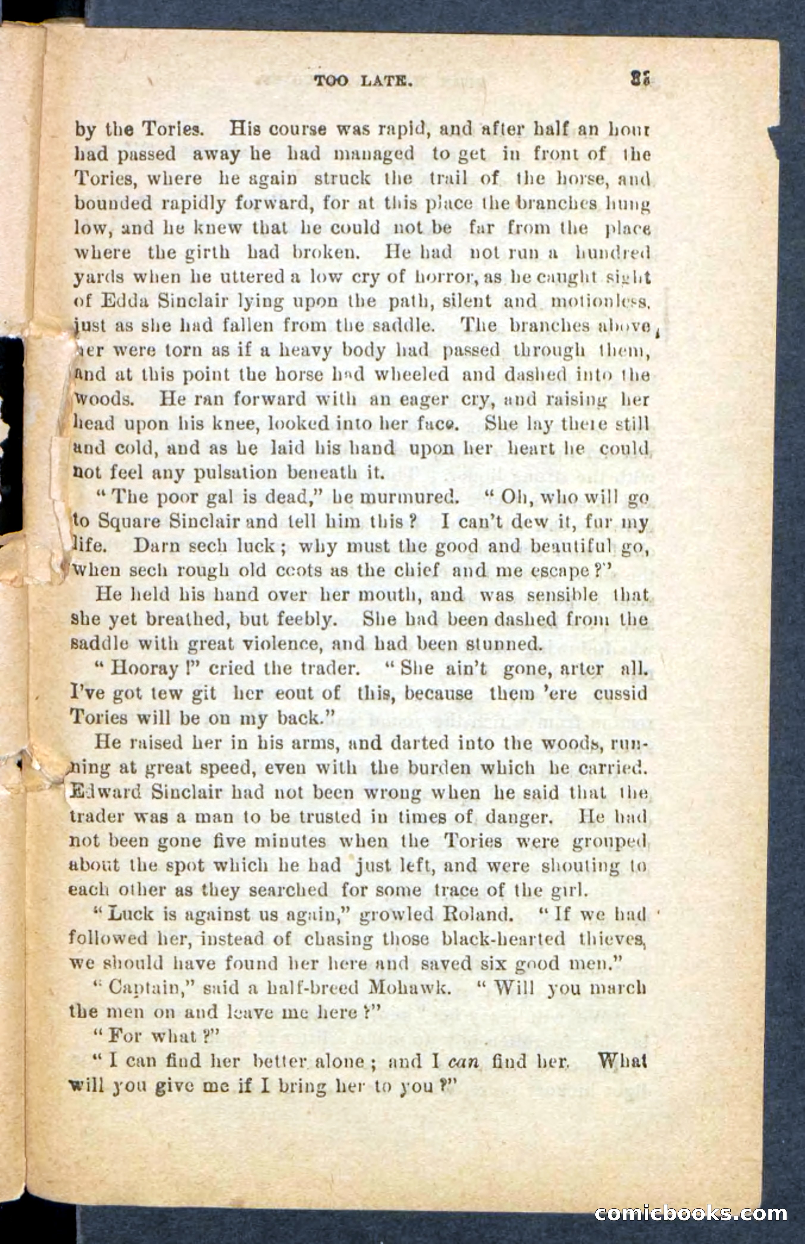 Beadle's Pocket Novels No. 249: Gray Hair, the Chief — page 29 of 100