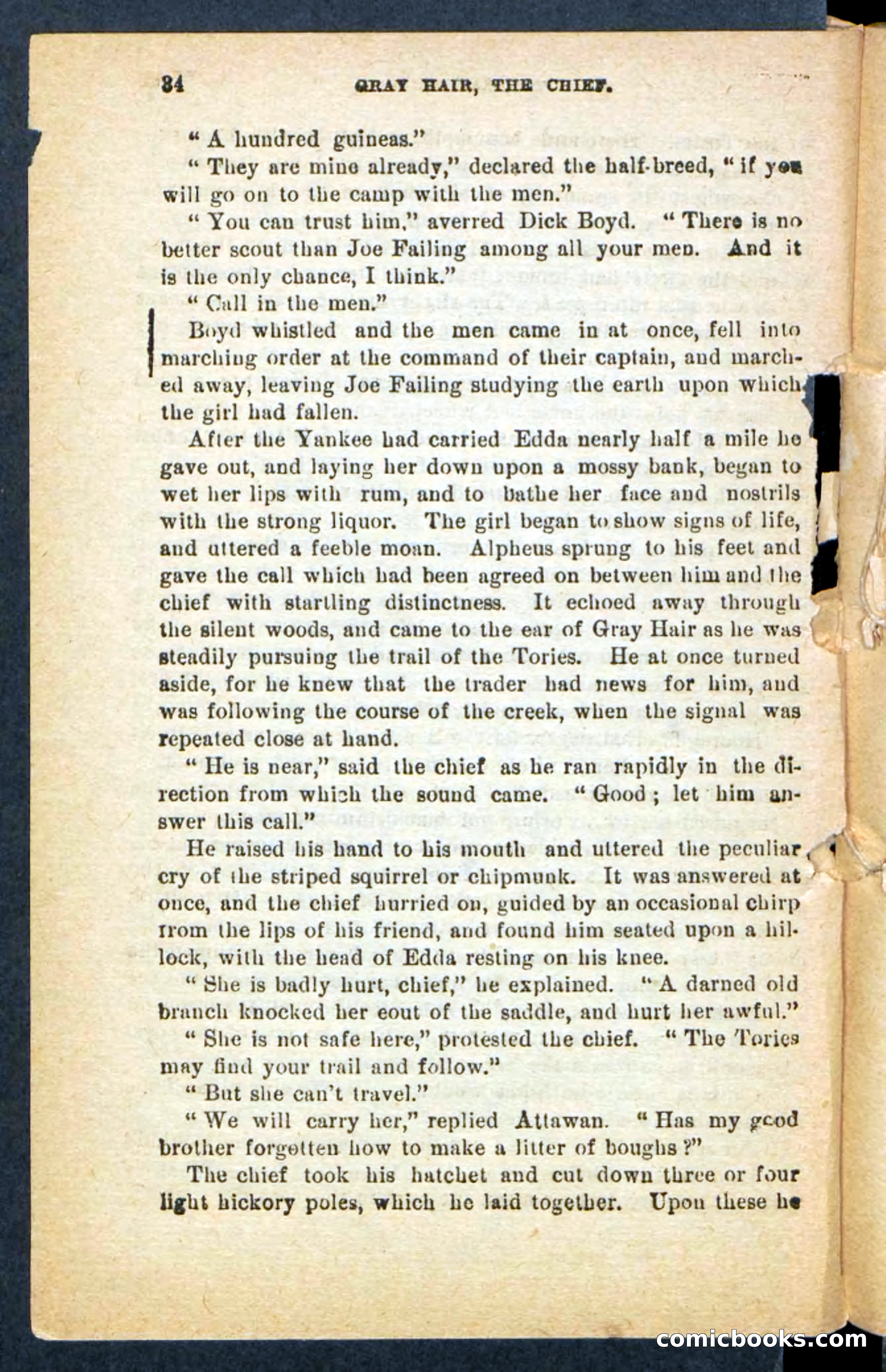 Beadle's Pocket Novels No. 249: Gray Hair, the Chief — page 30 of 100