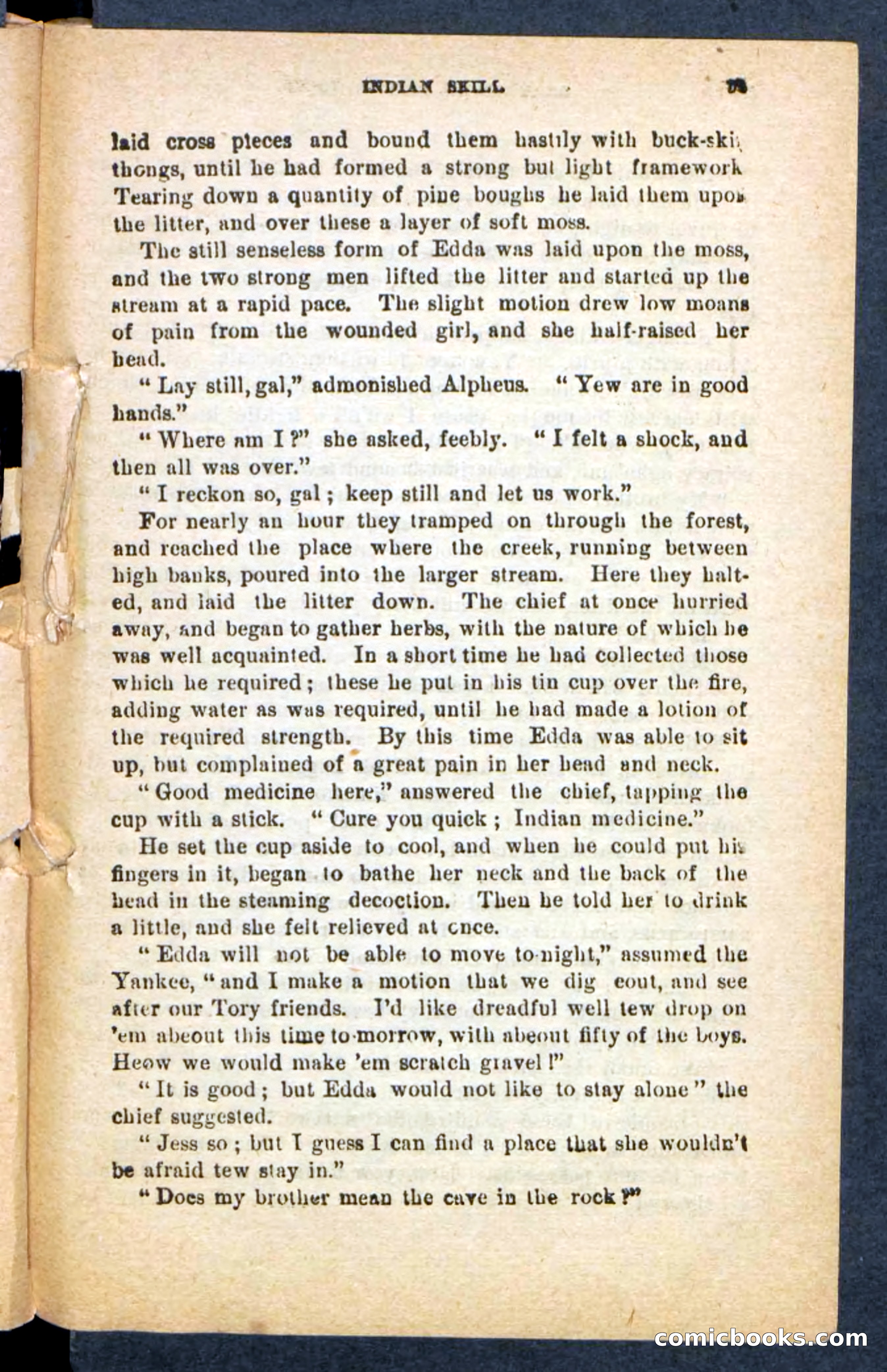 Beadle's Pocket Novels No. 249: Gray Hair, the Chief — page 31 of 100