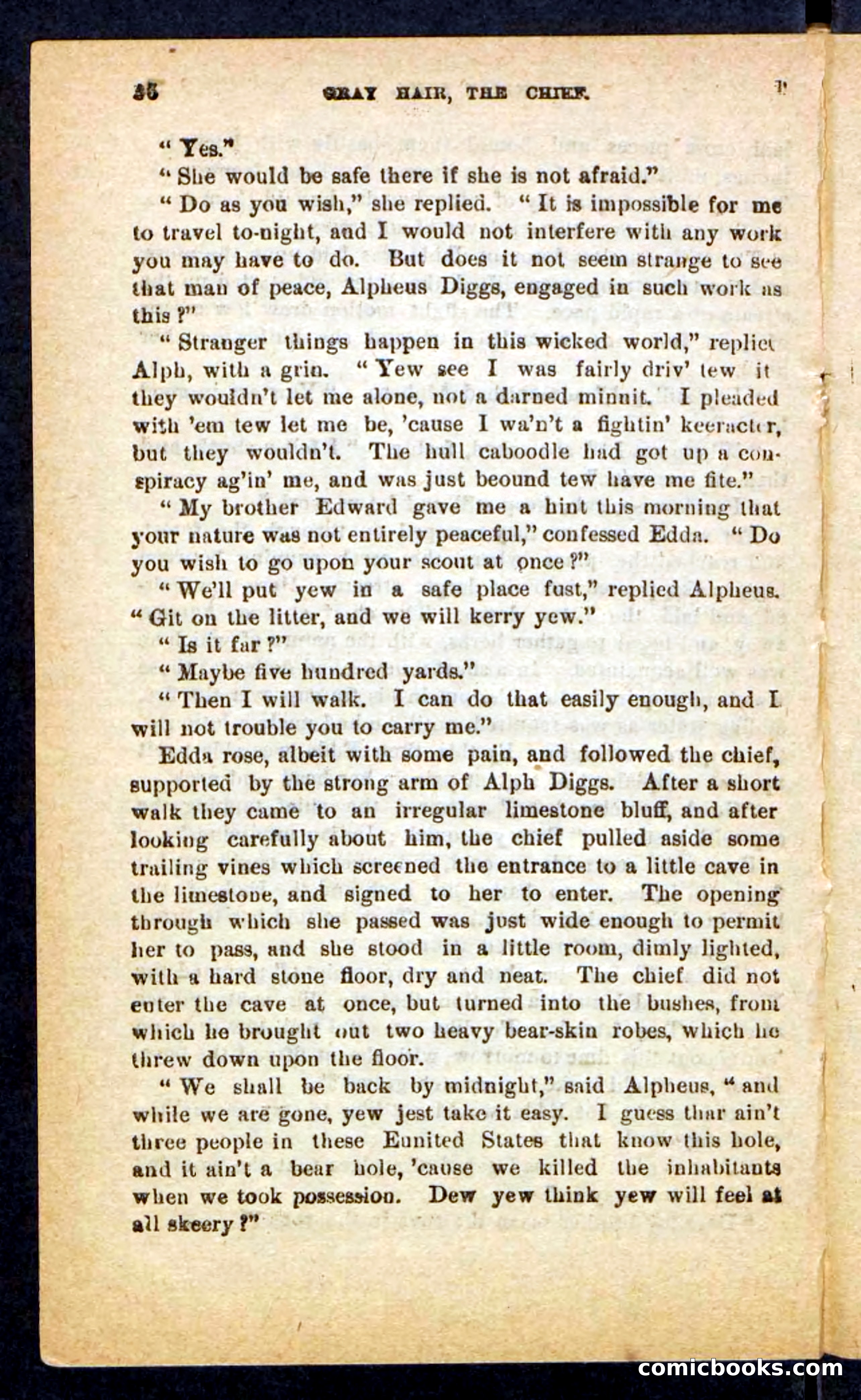 Beadle's Pocket Novels No. 249: Gray Hair, the Chief — page 32 of 100