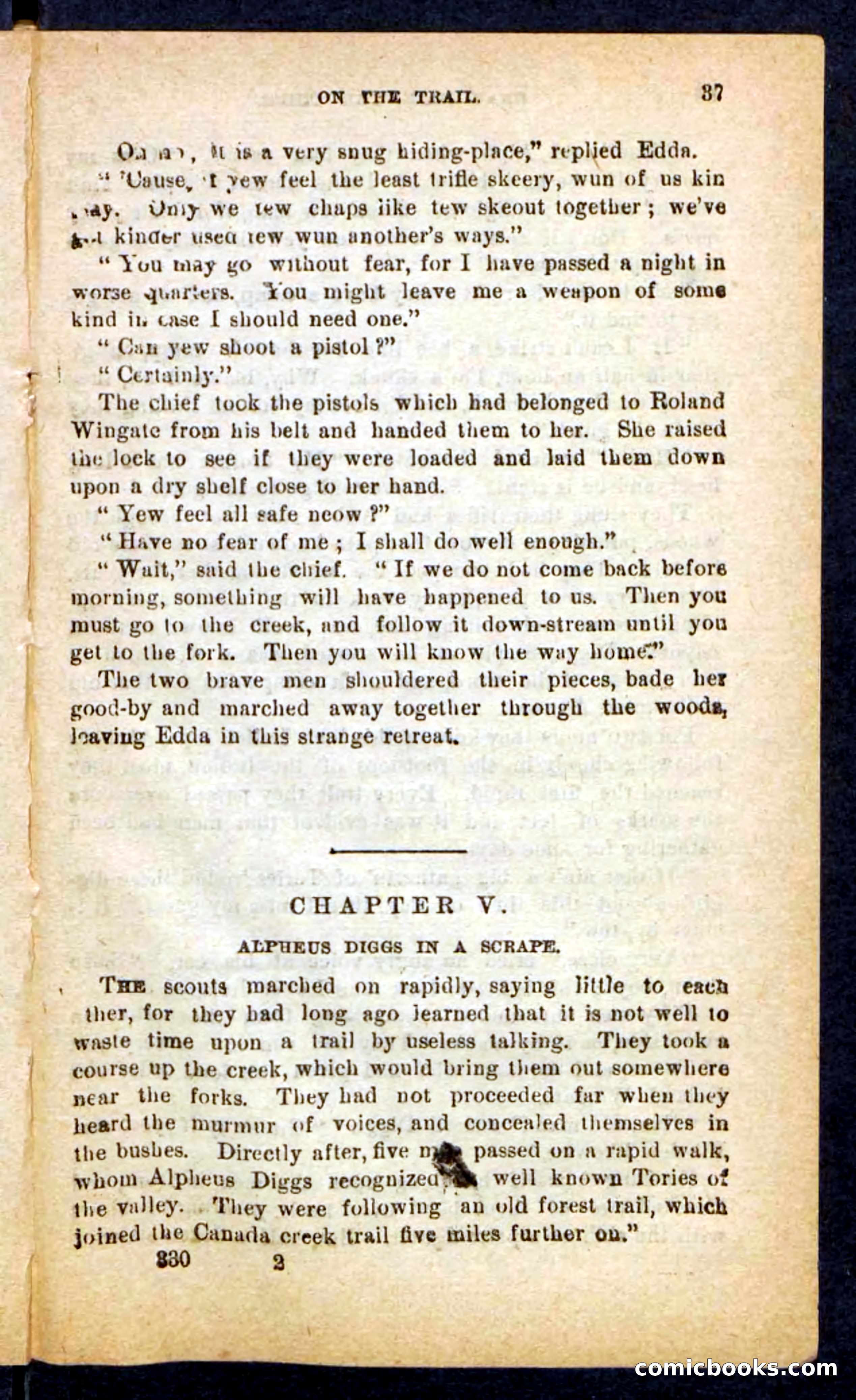 Beadle's Pocket Novels No. 249: Gray Hair, the Chief — page 33 of 100