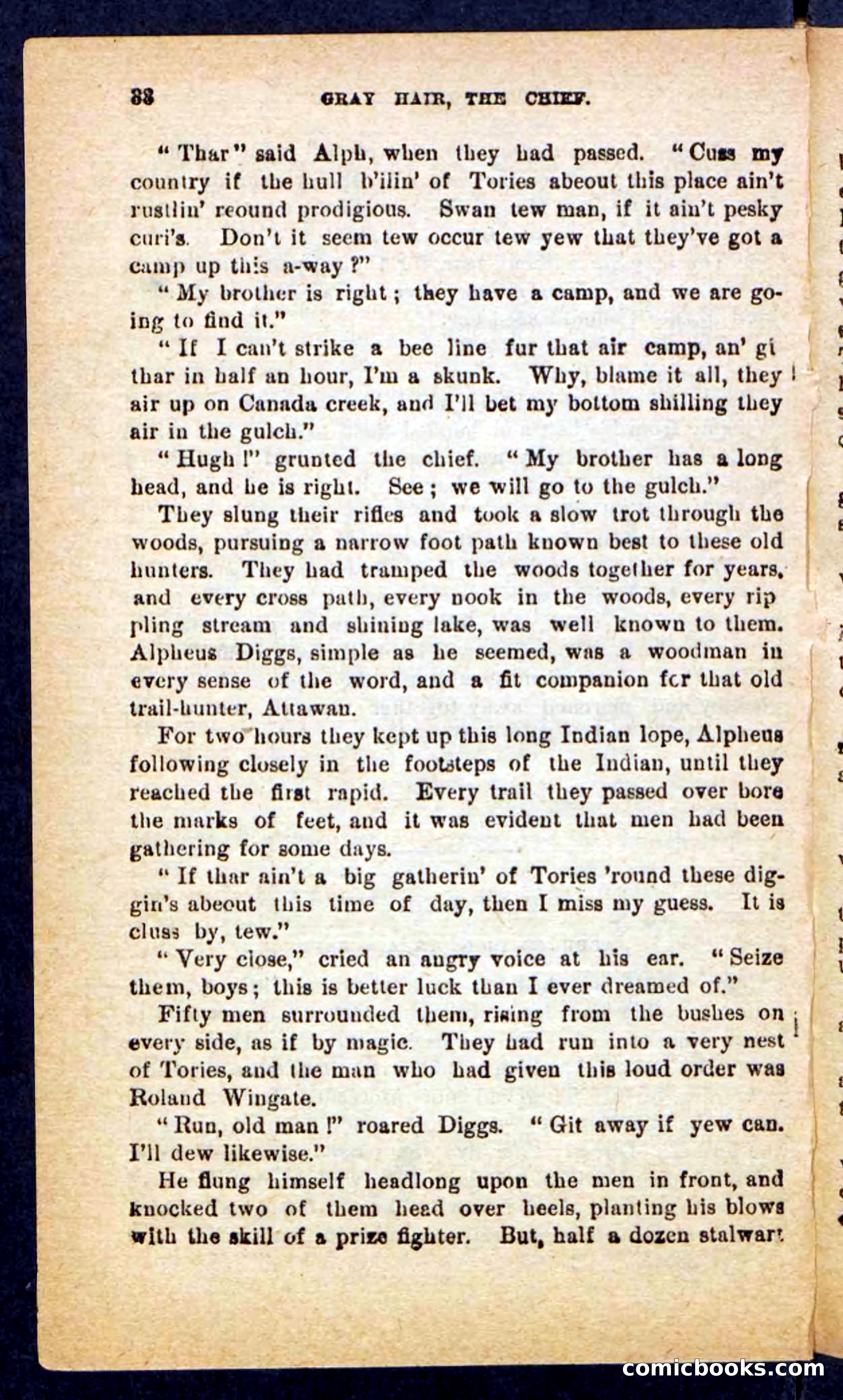 Beadle's Pocket Novels No. 249: Gray Hair, the Chief — page 34 of 100