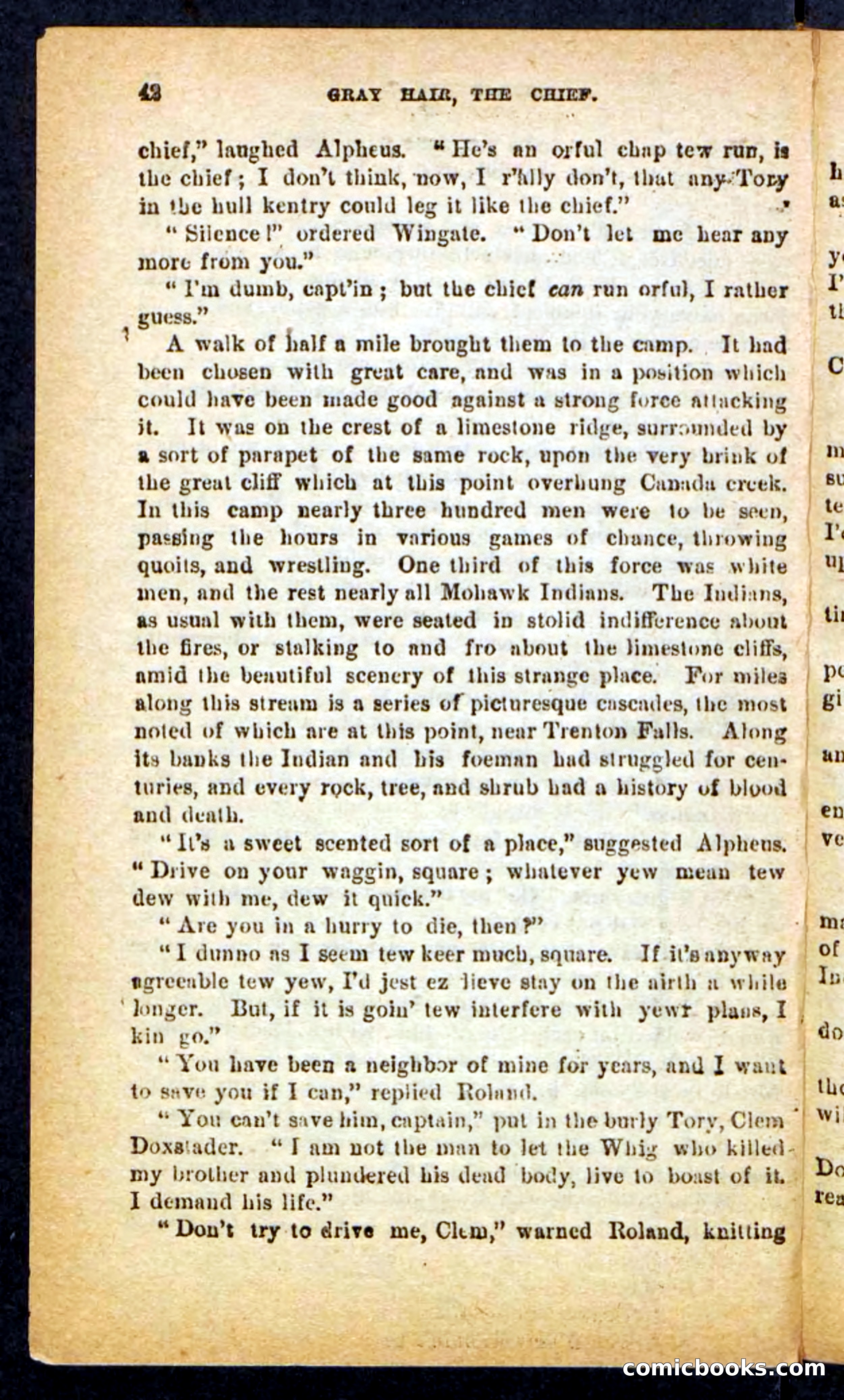 Beadle's Pocket Novels No. 249: Gray Hair, the Chief — page 38 of 100