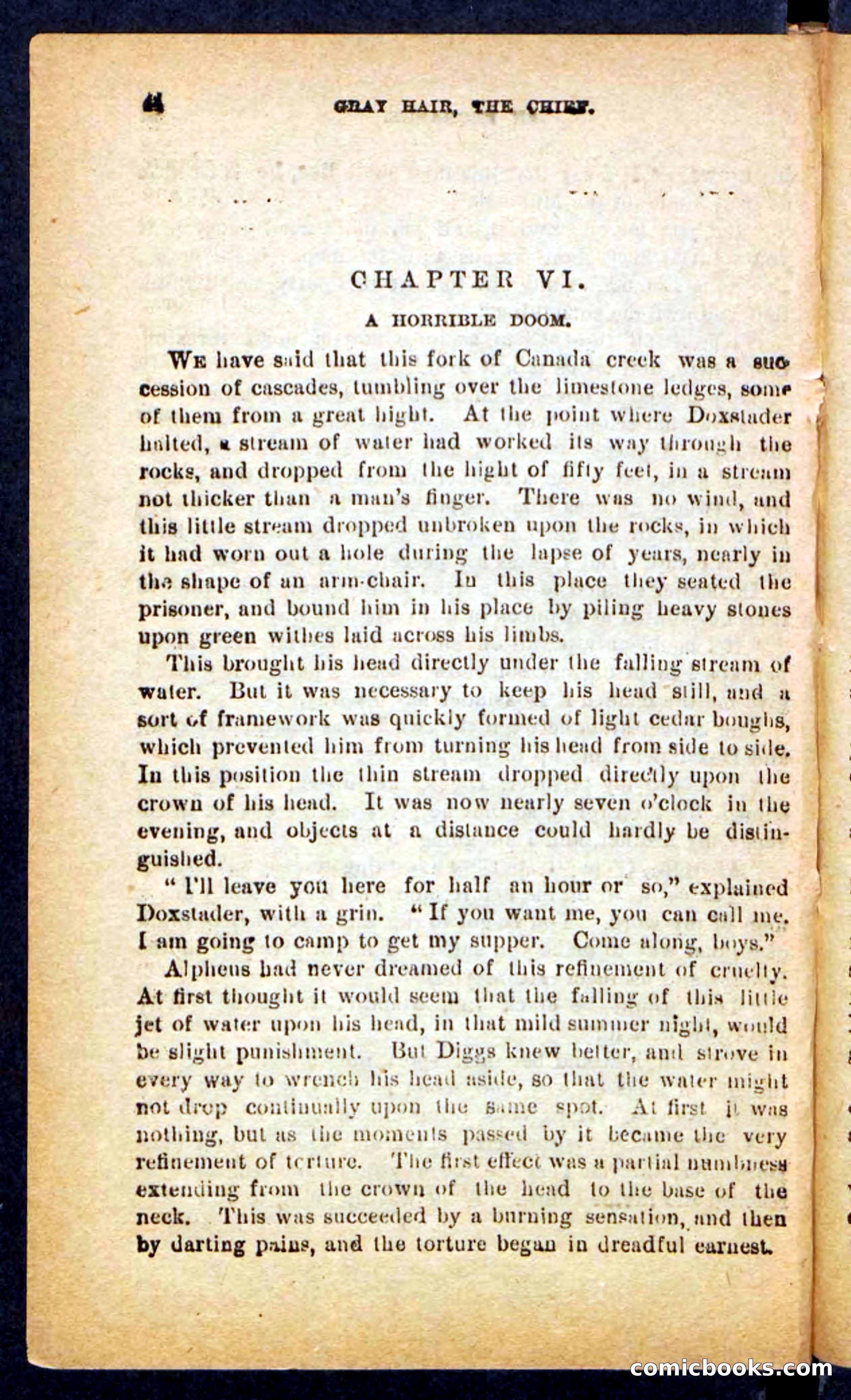 Beadle's Pocket Novels No. 249: Gray Hair, the Chief — page 40 of 100