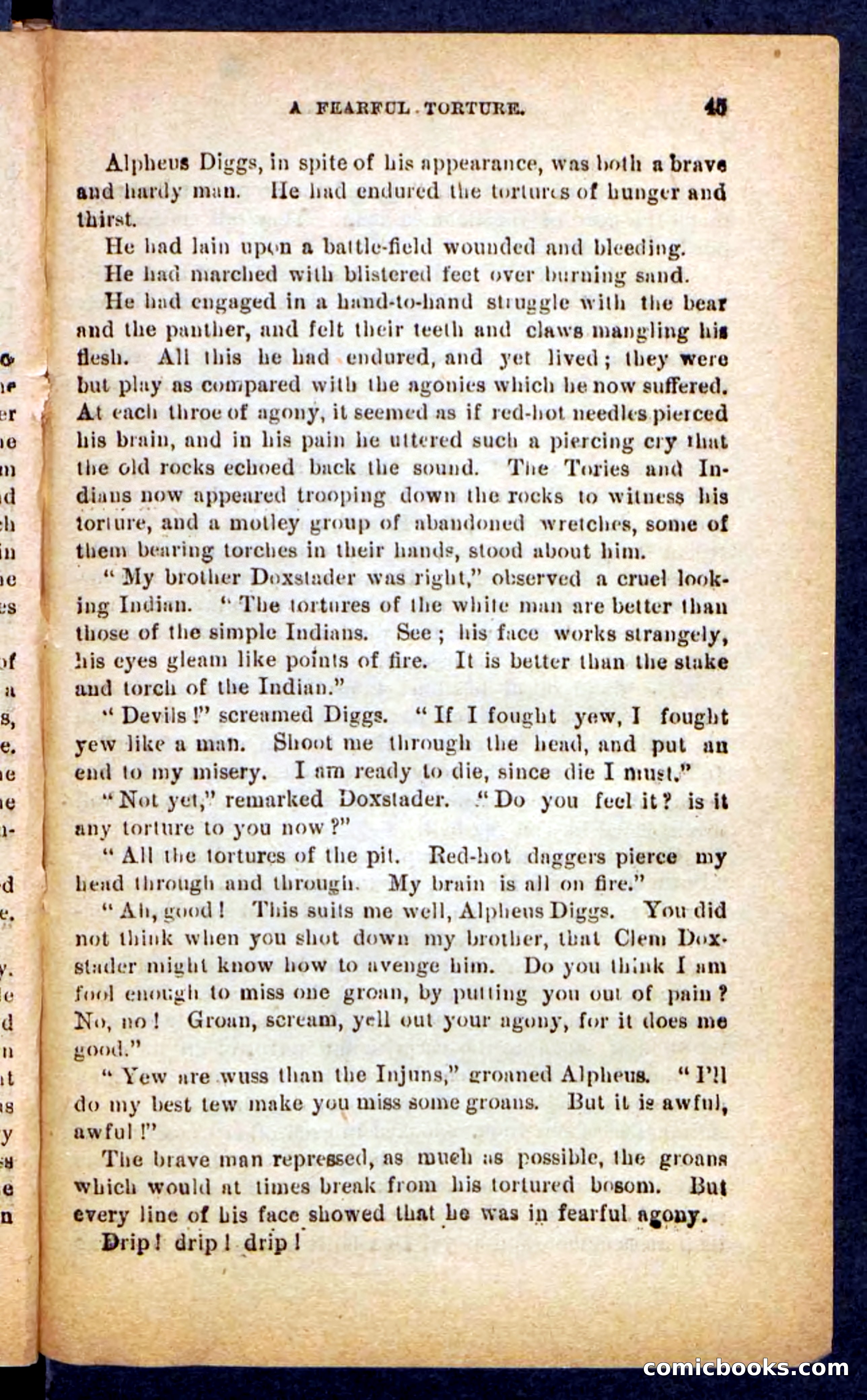 Beadle's Pocket Novels No. 249: Gray Hair, the Chief — page 41 of 100