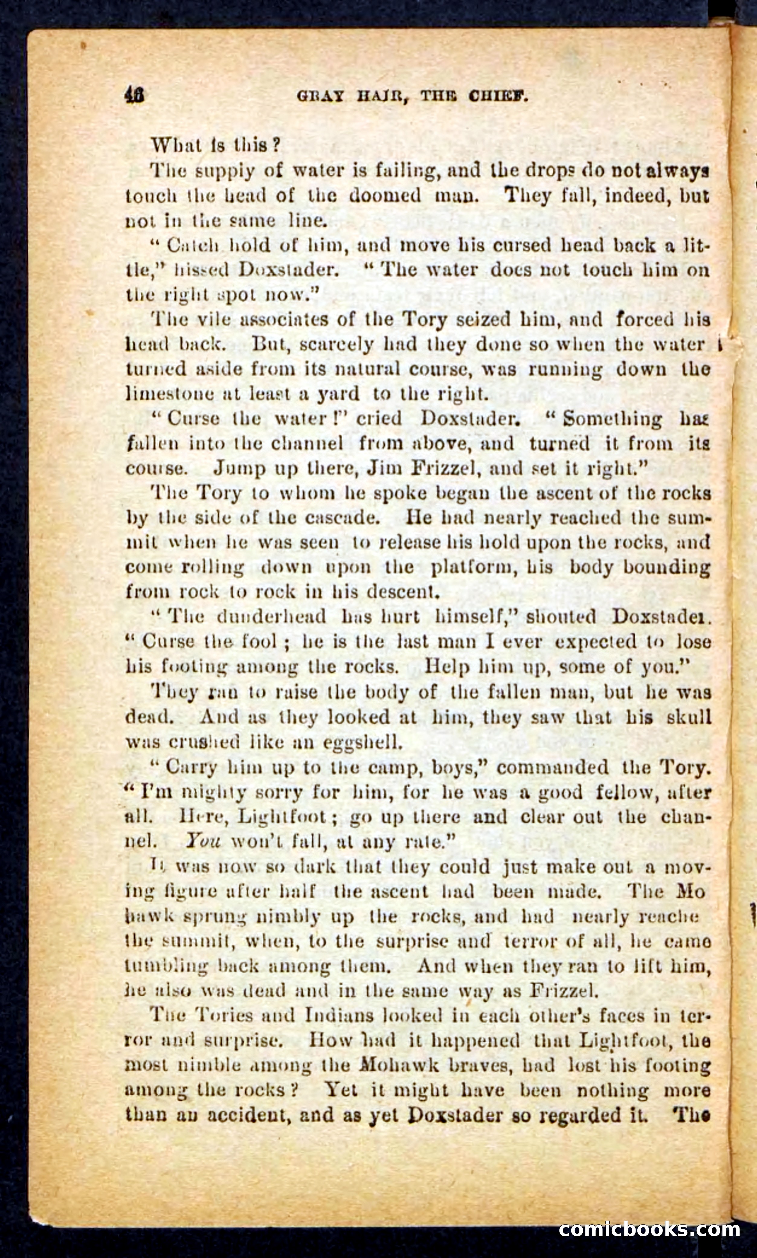 Beadle's Pocket Novels No. 249: Gray Hair, the Chief — page 42 of 100