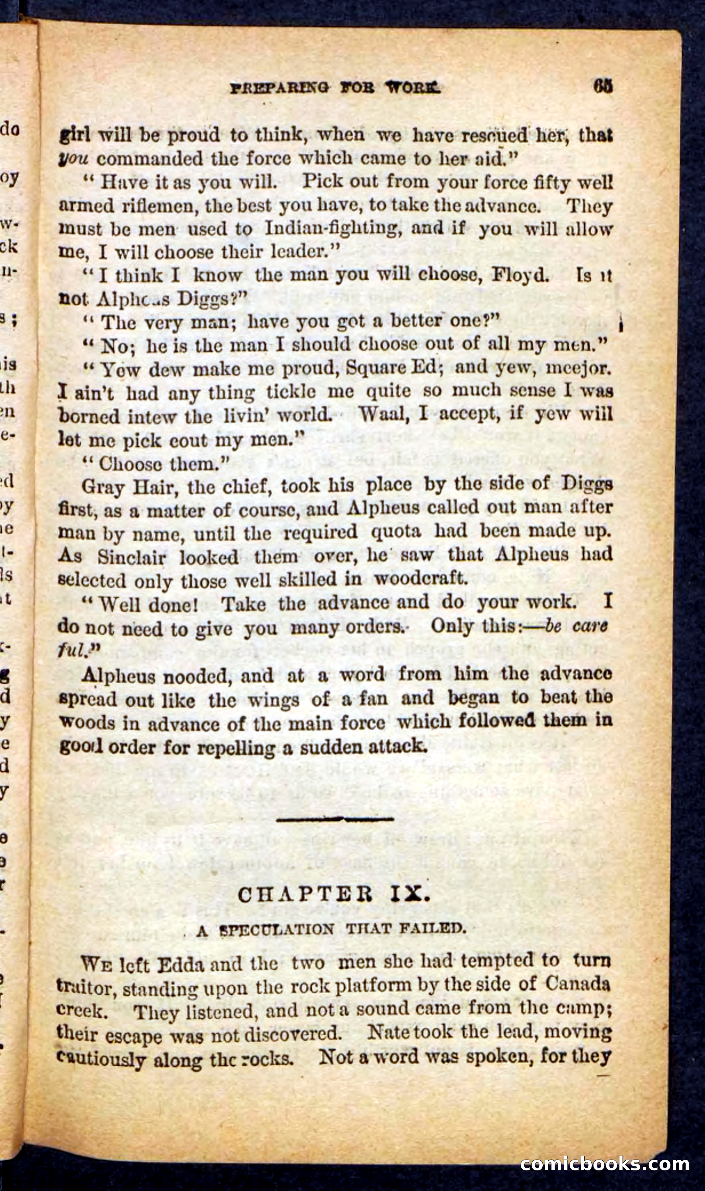 Beadle's Pocket Novels No. 249: Gray Hair, the Chief — page 61 of 100