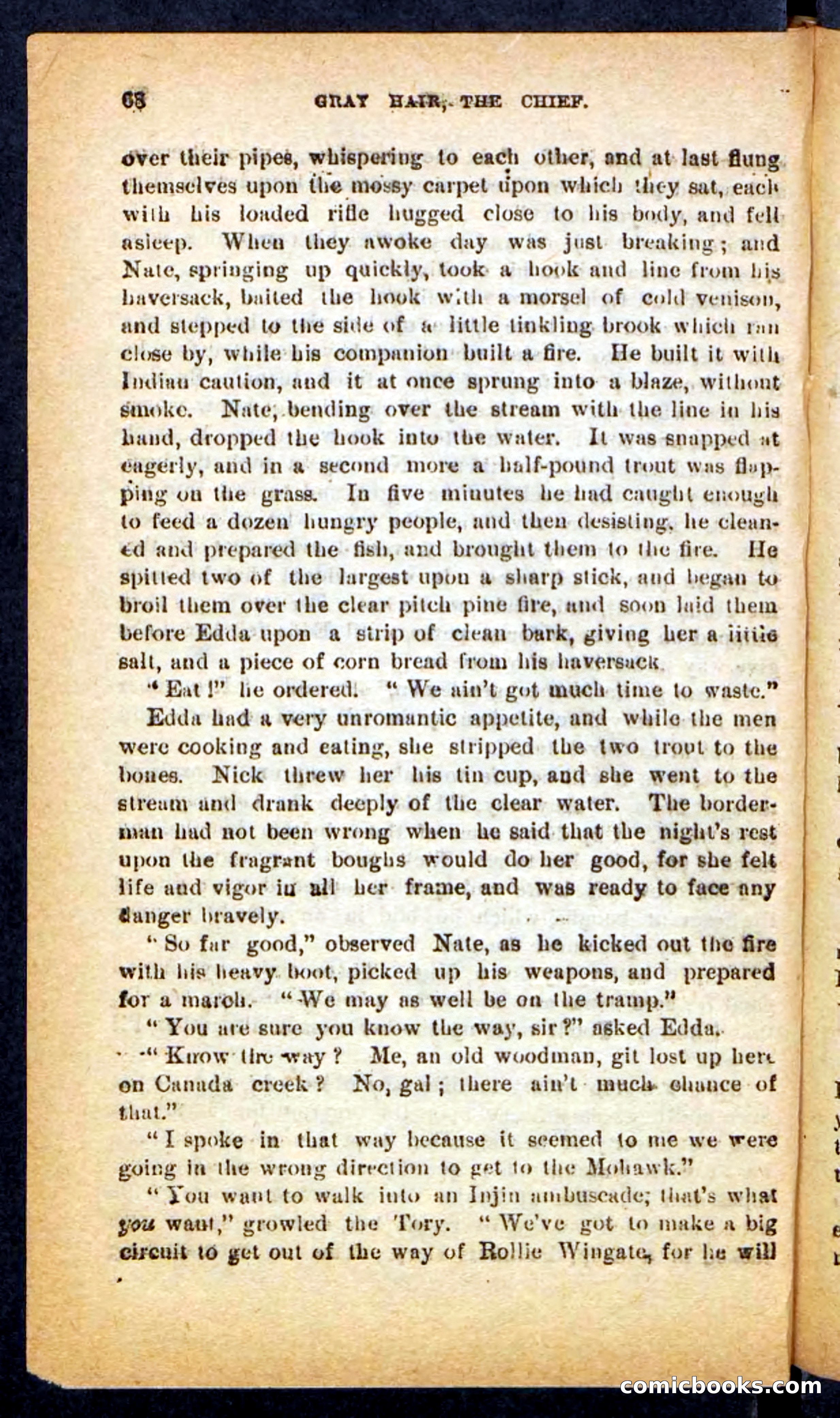 Beadle's Pocket Novels No. 249: Gray Hair, the Chief — page 64 of 100