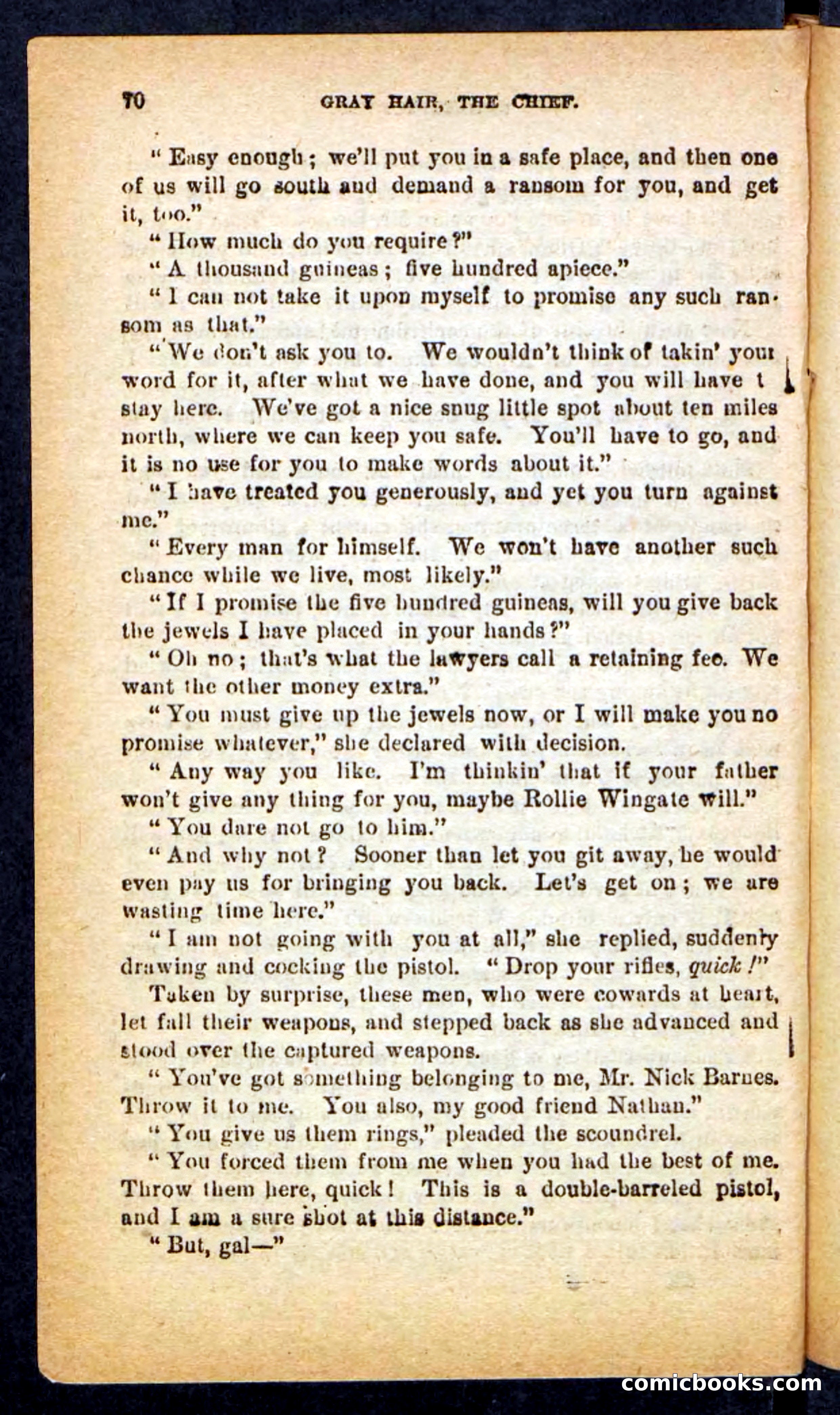 Beadle's Pocket Novels No. 249: Gray Hair, the Chief — page 66 of 100