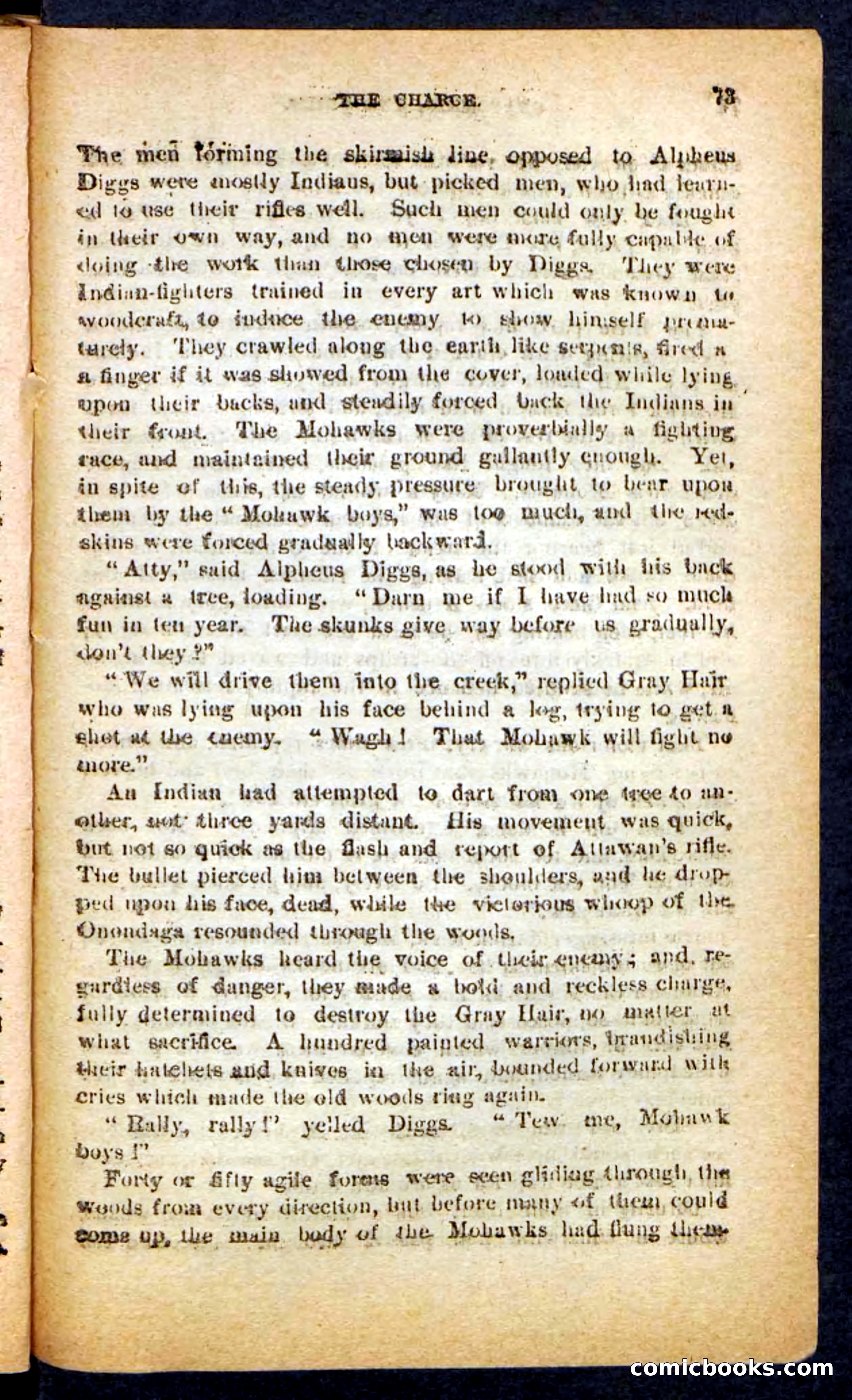 Beadle's Pocket Novels No. 249: Gray Hair, the Chief — page 69 of 100