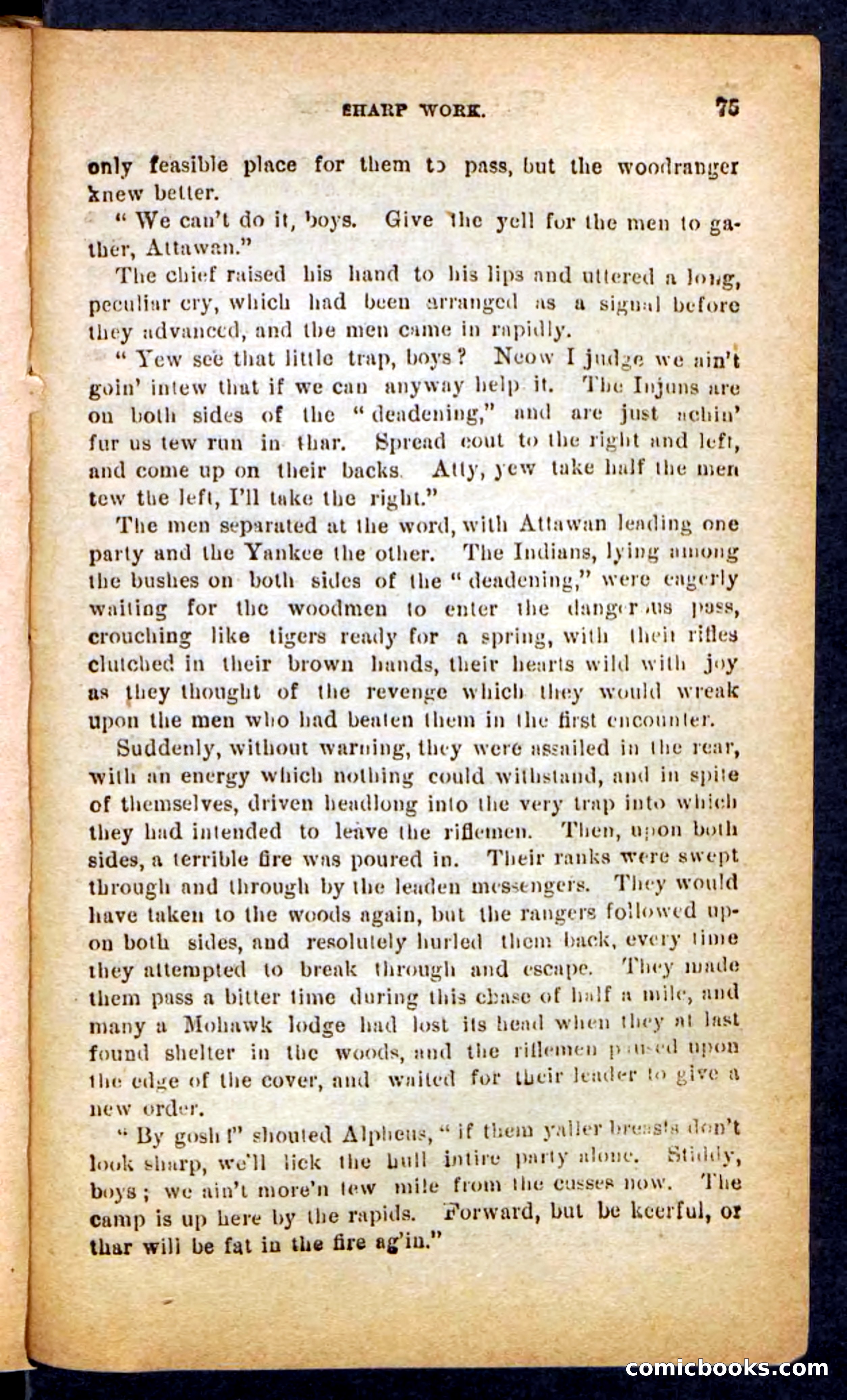 Beadle's Pocket Novels No. 249: Gray Hair, the Chief — page 71 of 100
