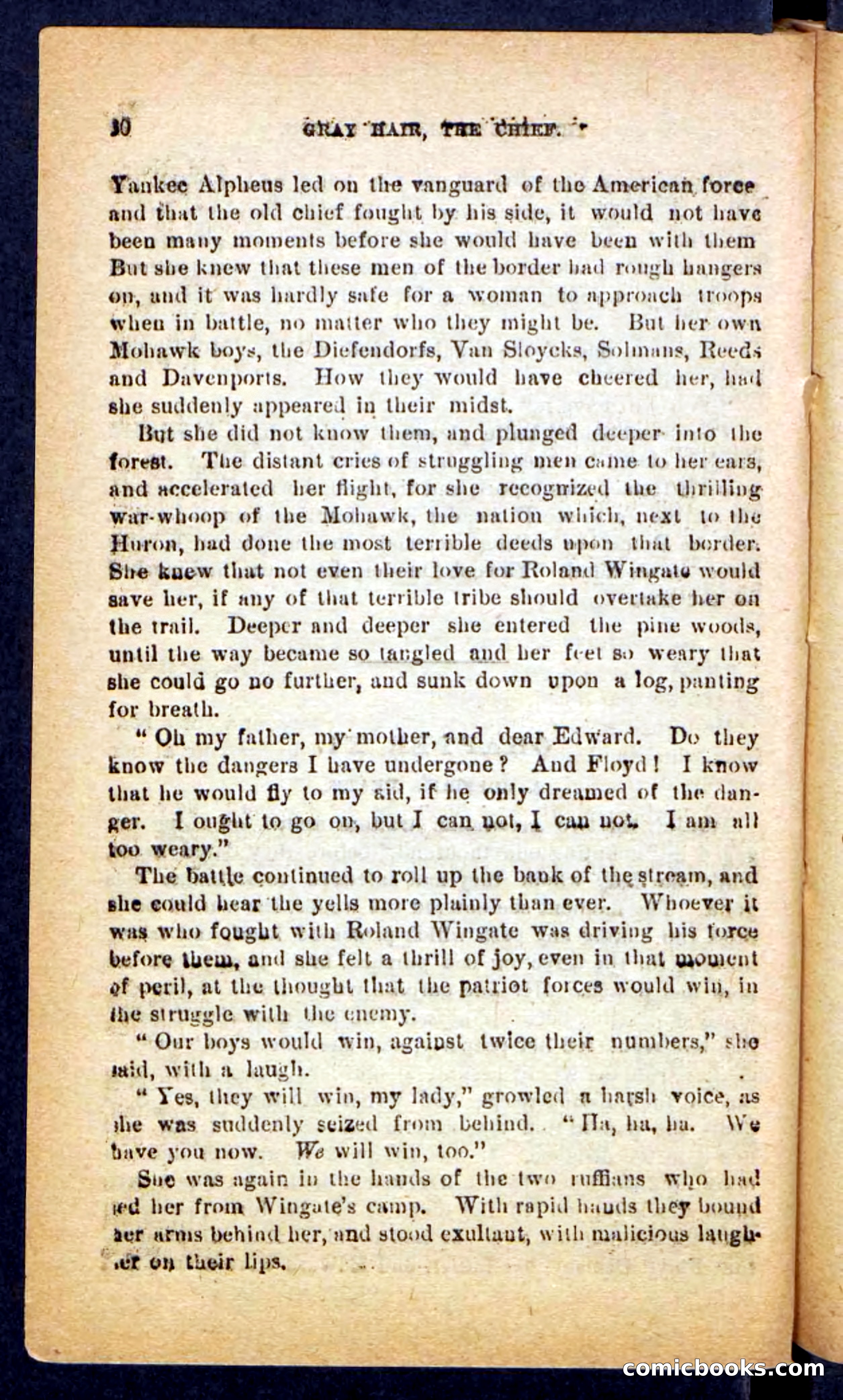Beadle's Pocket Novels No. 249: Gray Hair, the Chief — page 76 of 100