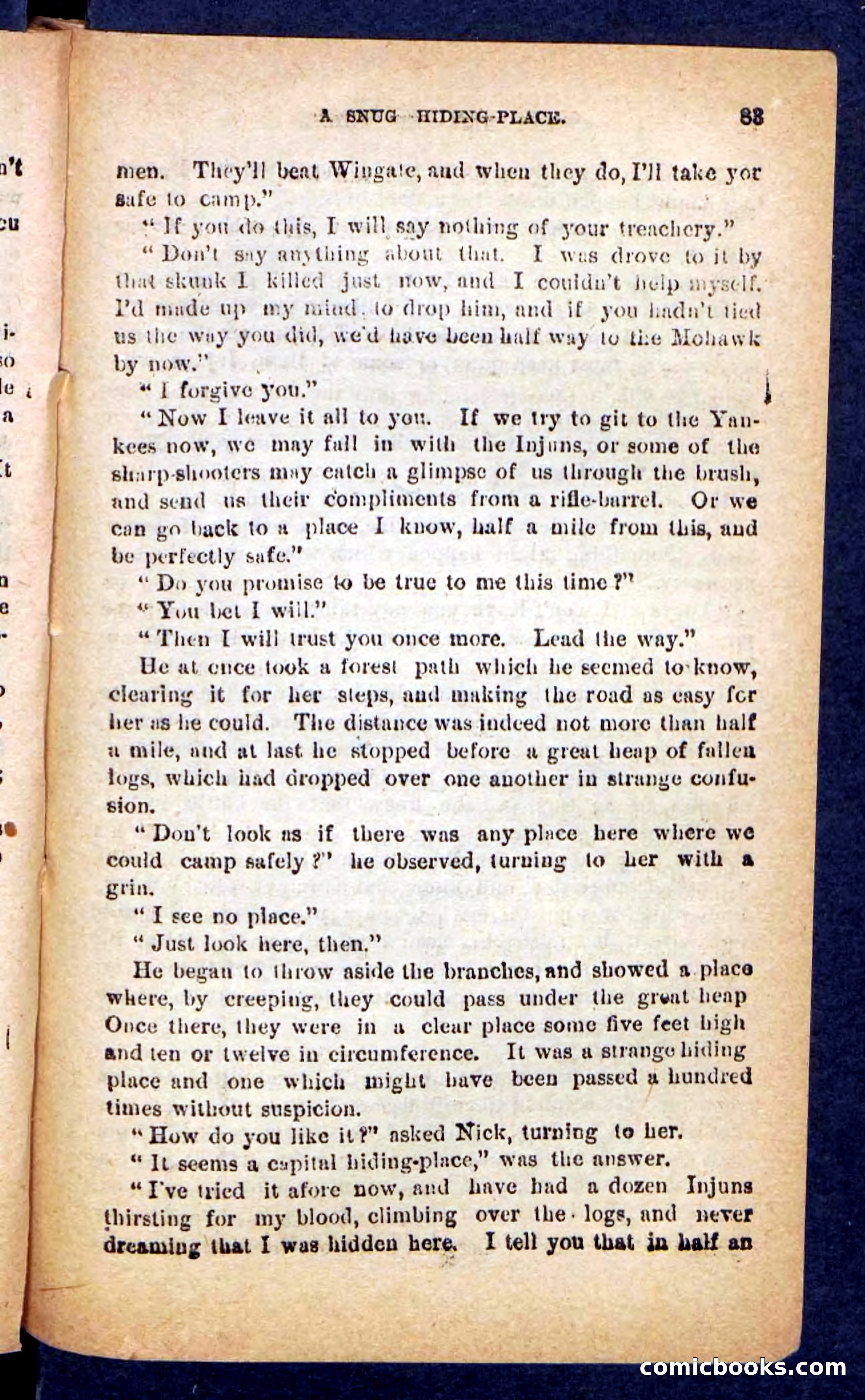 Beadle's Pocket Novels No. 249: Gray Hair, the Chief — page 79 of 100