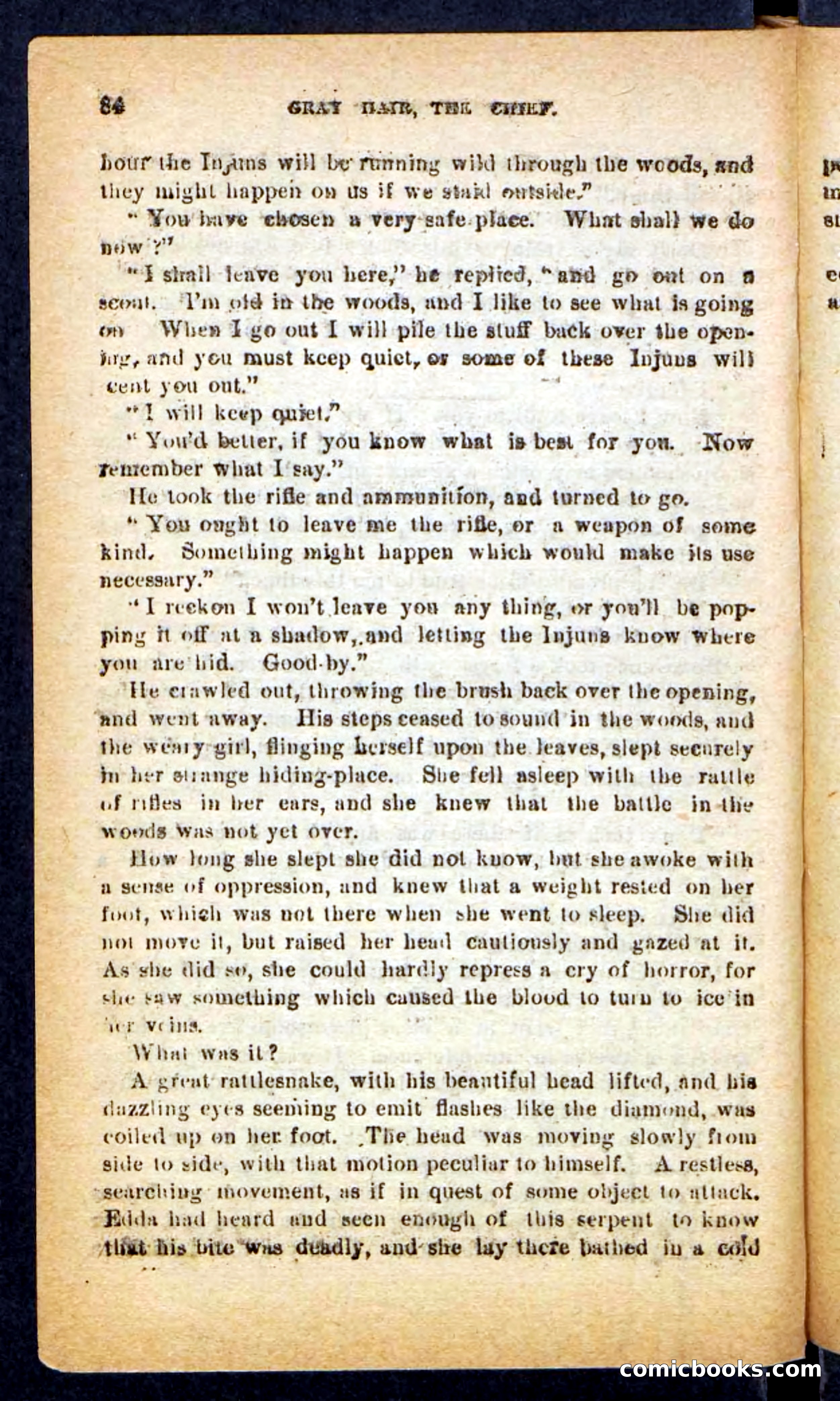 Beadle's Pocket Novels No. 249: Gray Hair, the Chief — page 80 of 100