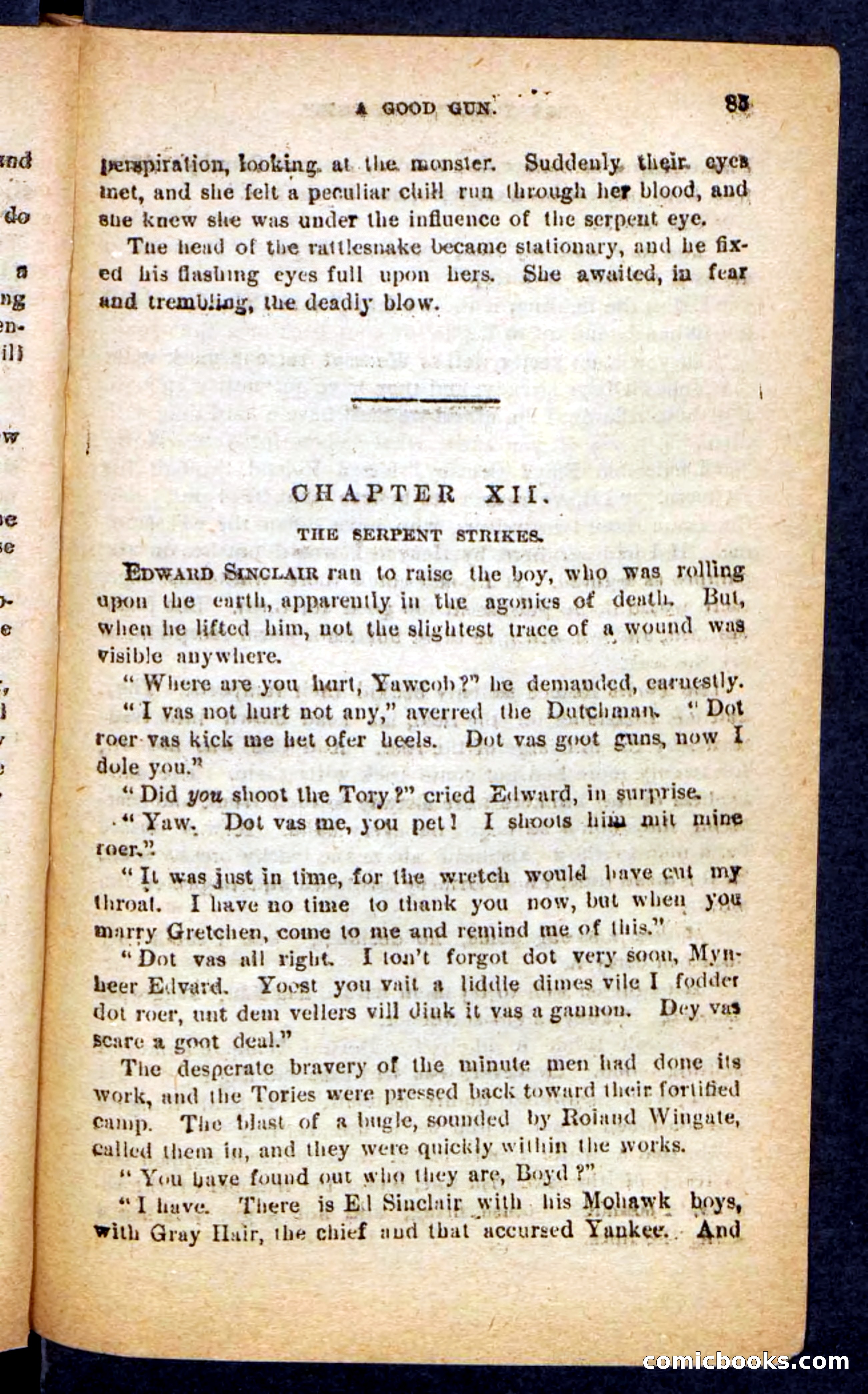 Beadle's Pocket Novels No. 249: Gray Hair, the Chief — page 81 of 100