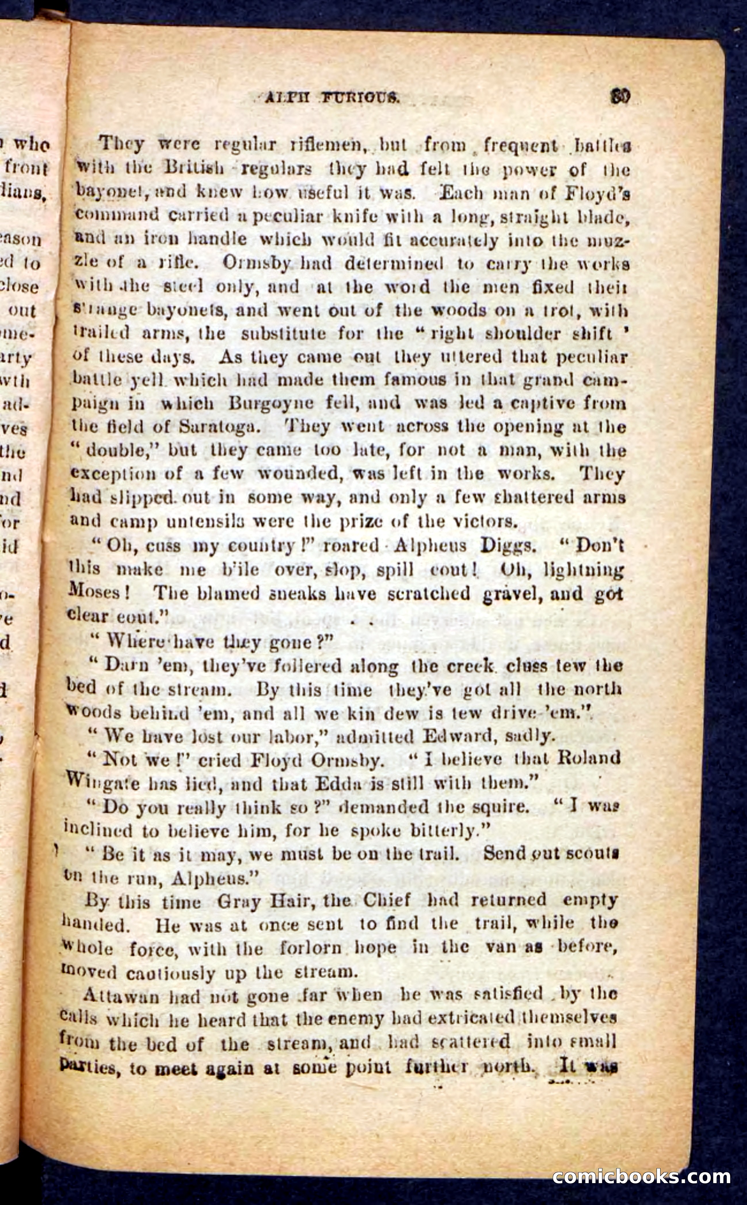 Beadle's Pocket Novels No. 249: Gray Hair, the Chief — page 85 of 100