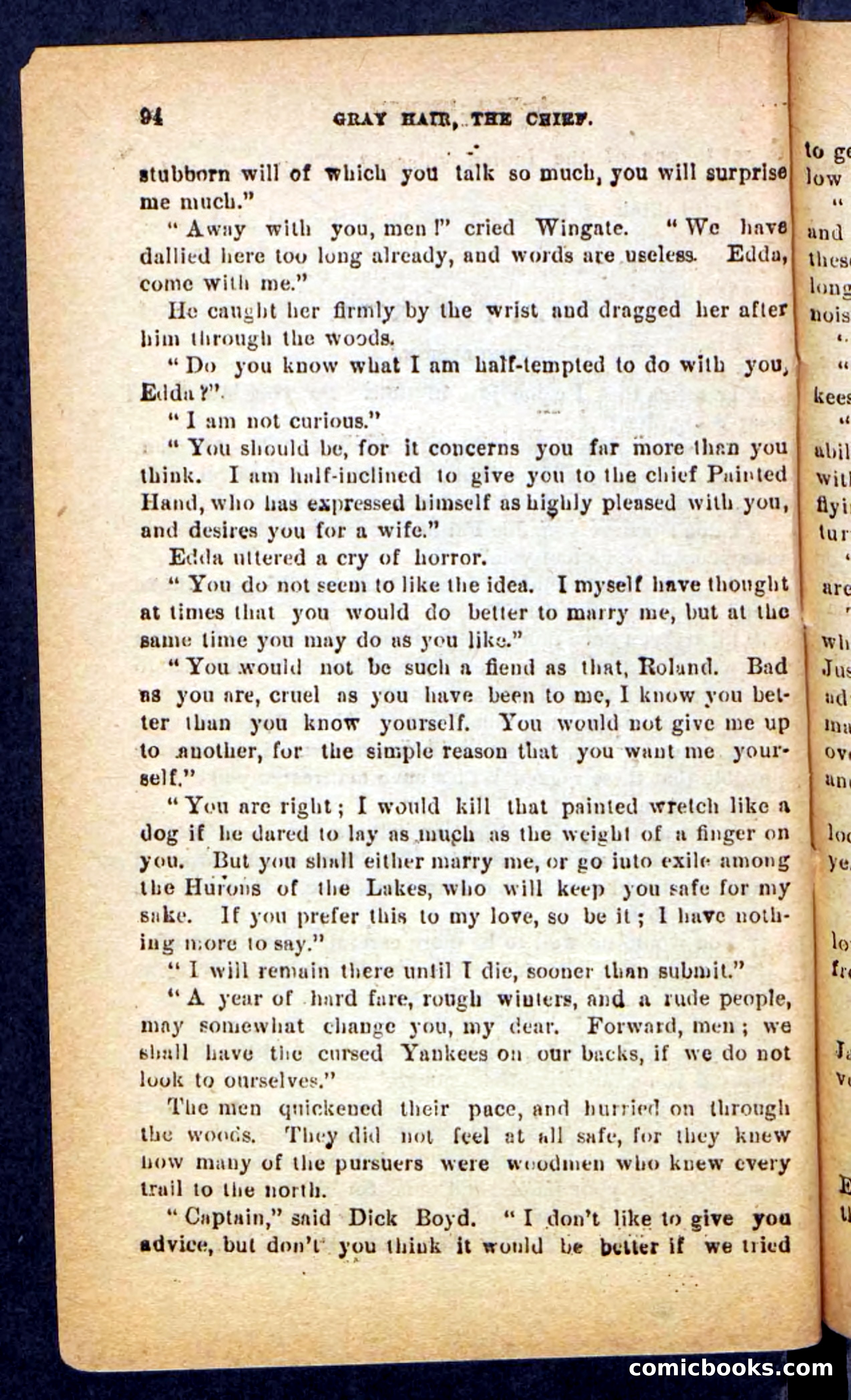 Beadle's Pocket Novels No. 249: Gray Hair, the Chief — page 90 of 100